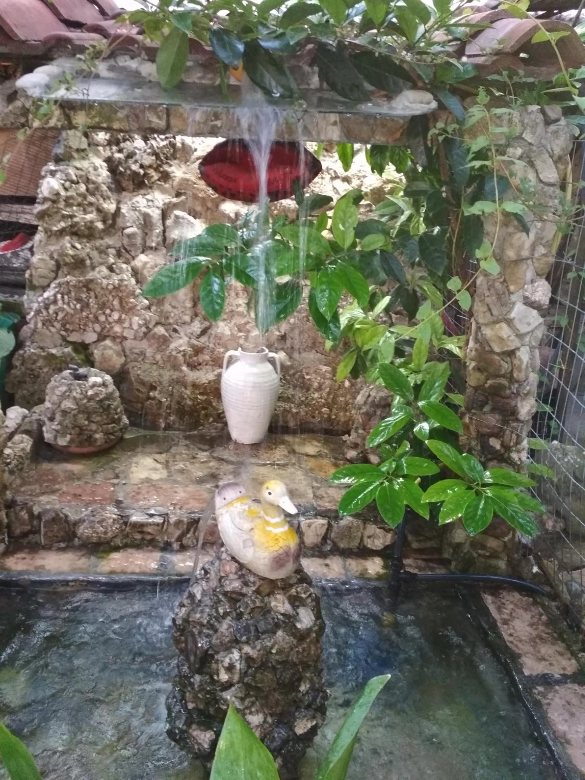 Garden in Karafil Guesthouse