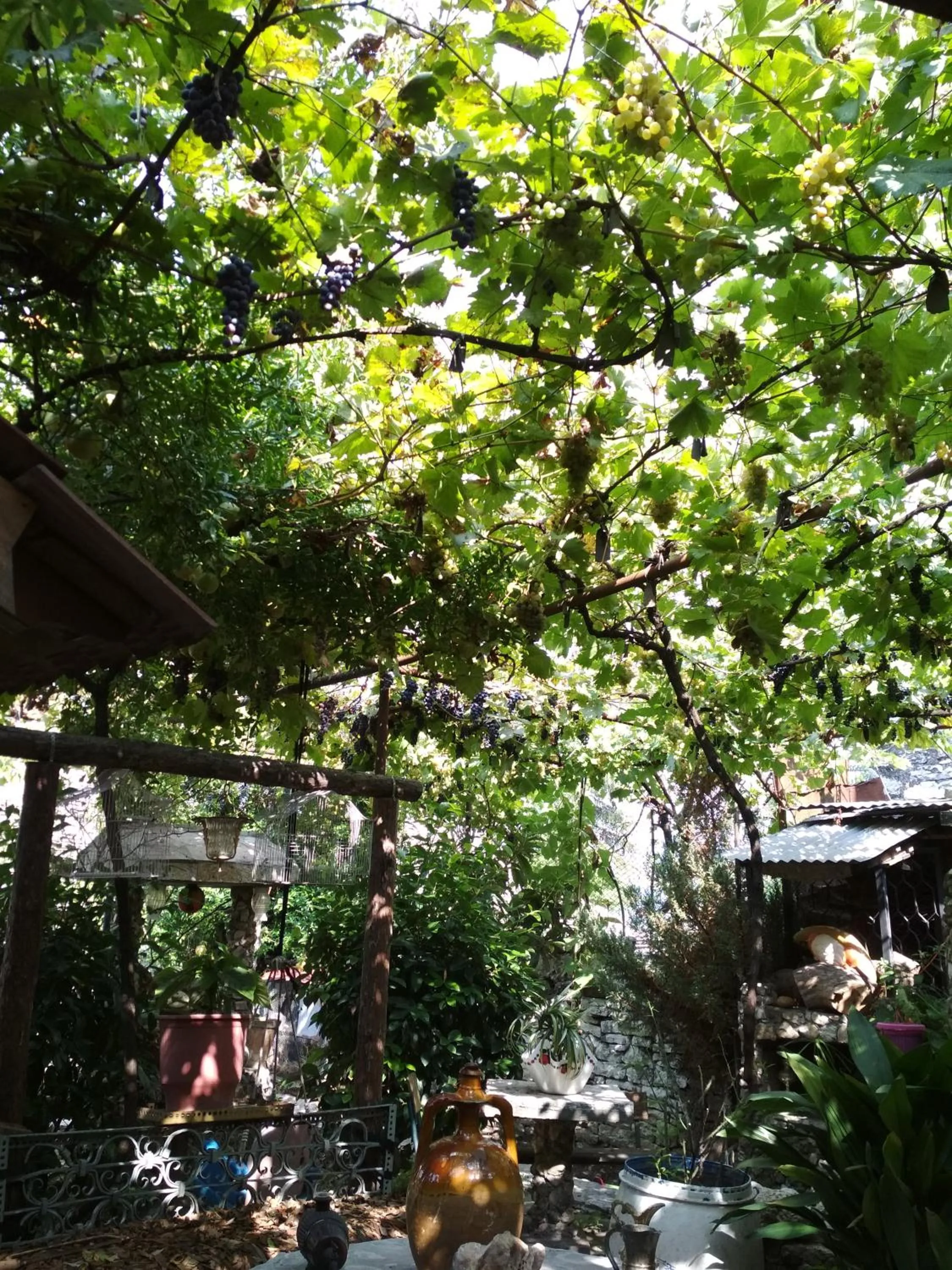 Garden in Karafil Guesthouse