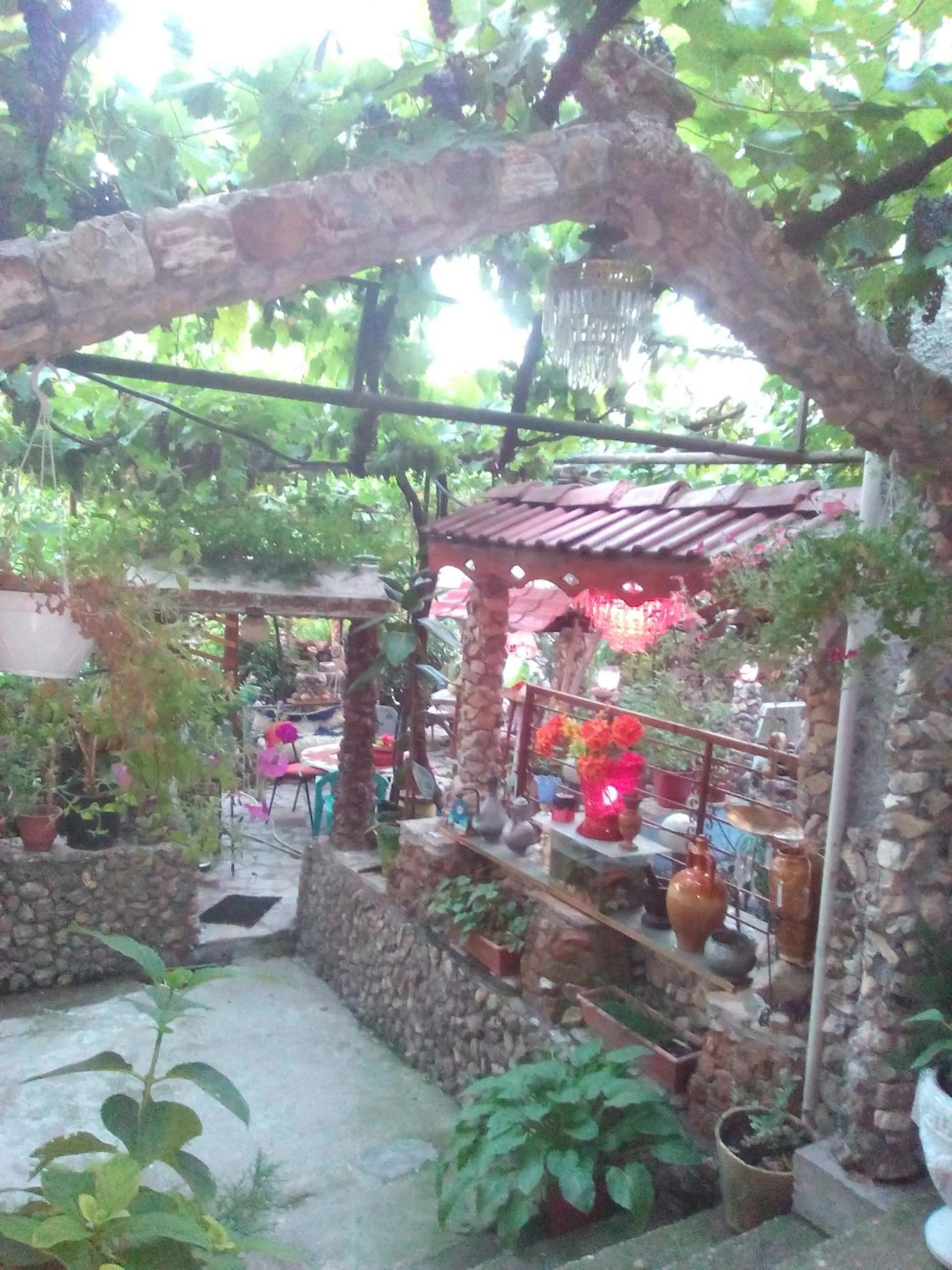 Garden in Karafil Guesthouse