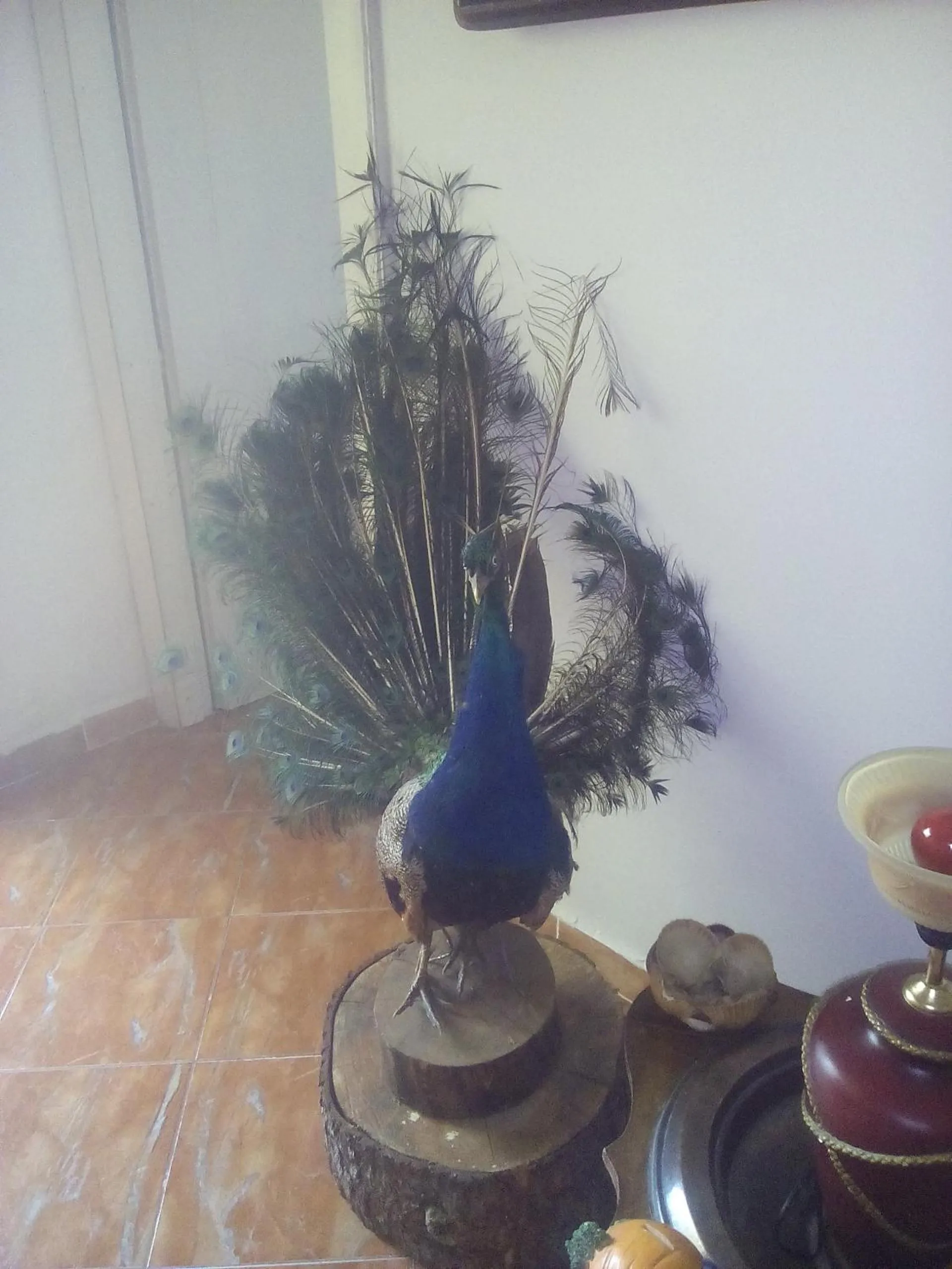Decorative detail in Karafil Guesthouse