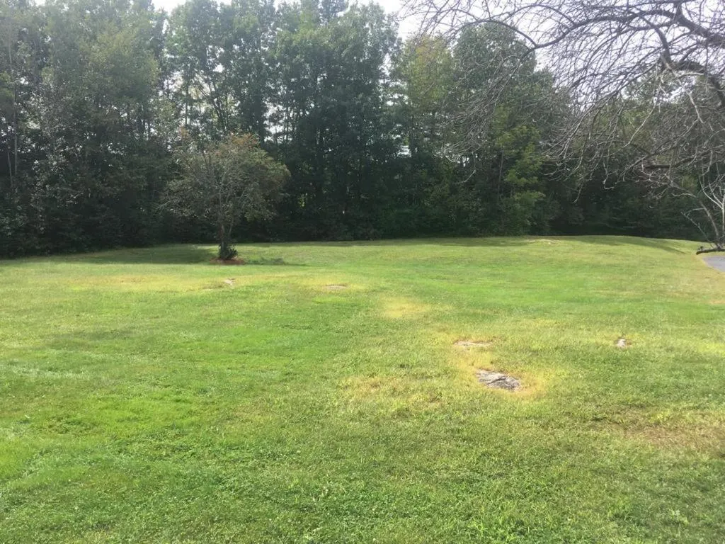 Anchorage Inn Rochester