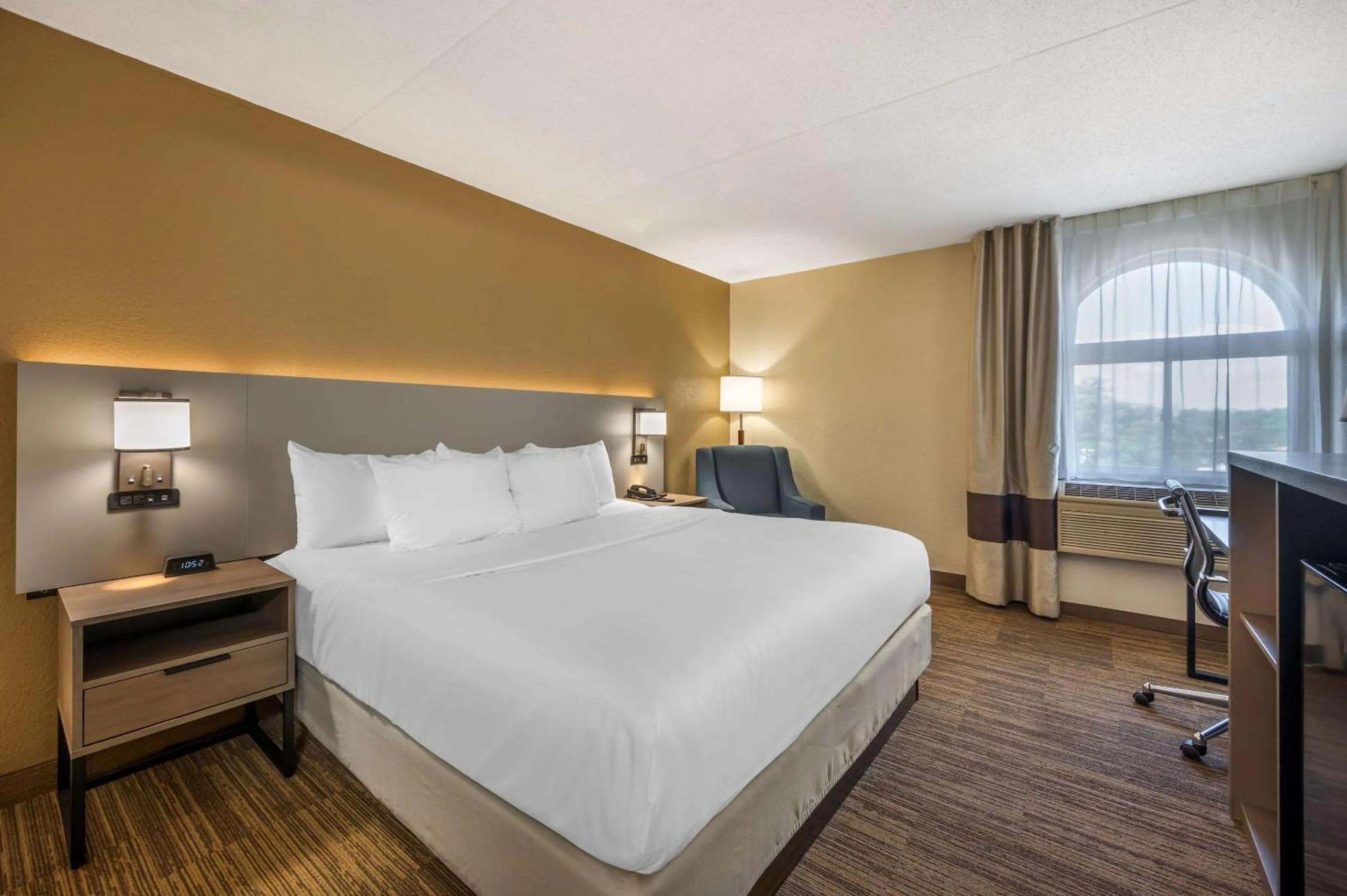 Bedroom, Bed in Comfort Inn & Suites East Hartford - Hartford