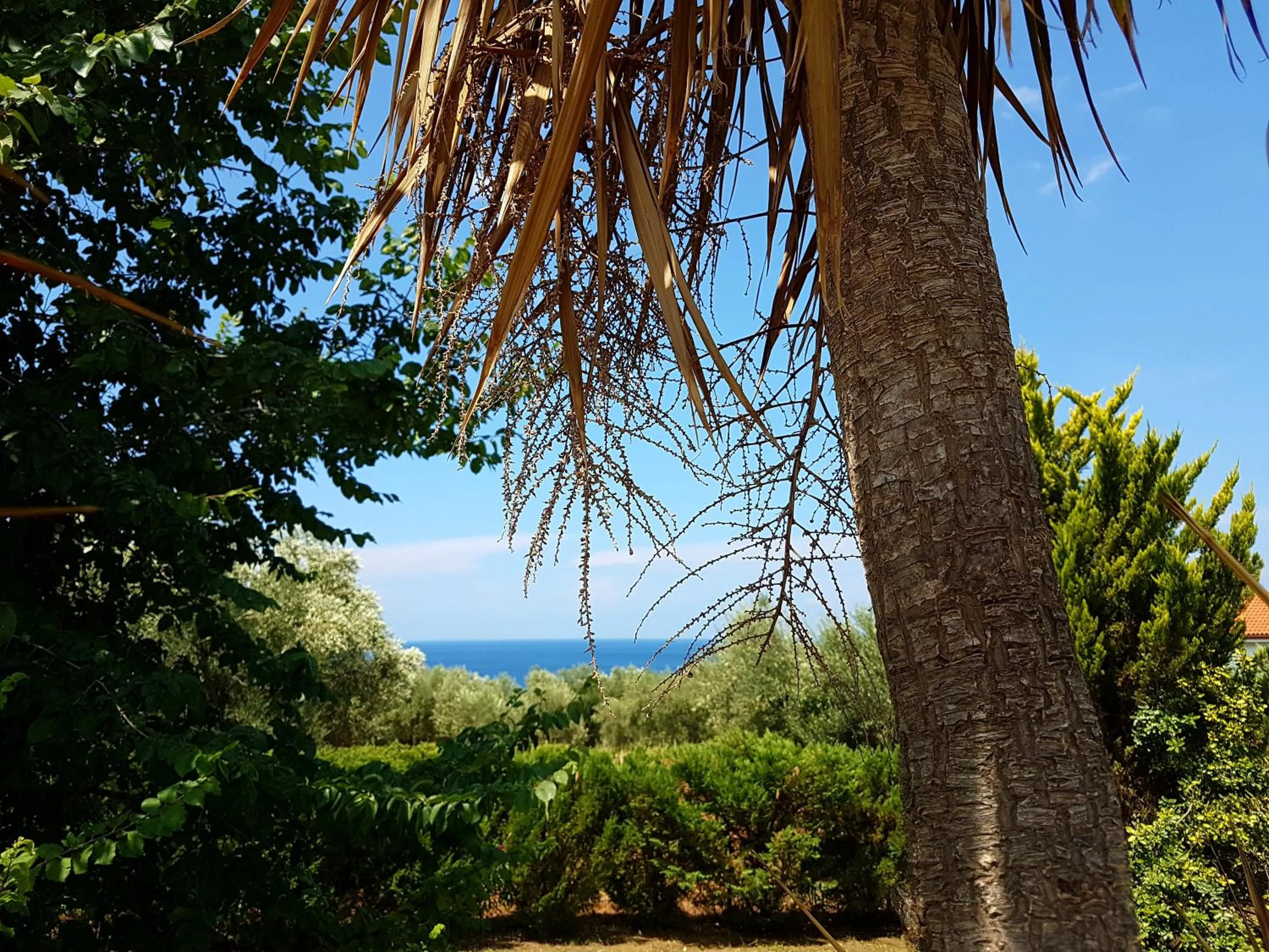 Day in Agrili Apartments & Rooms