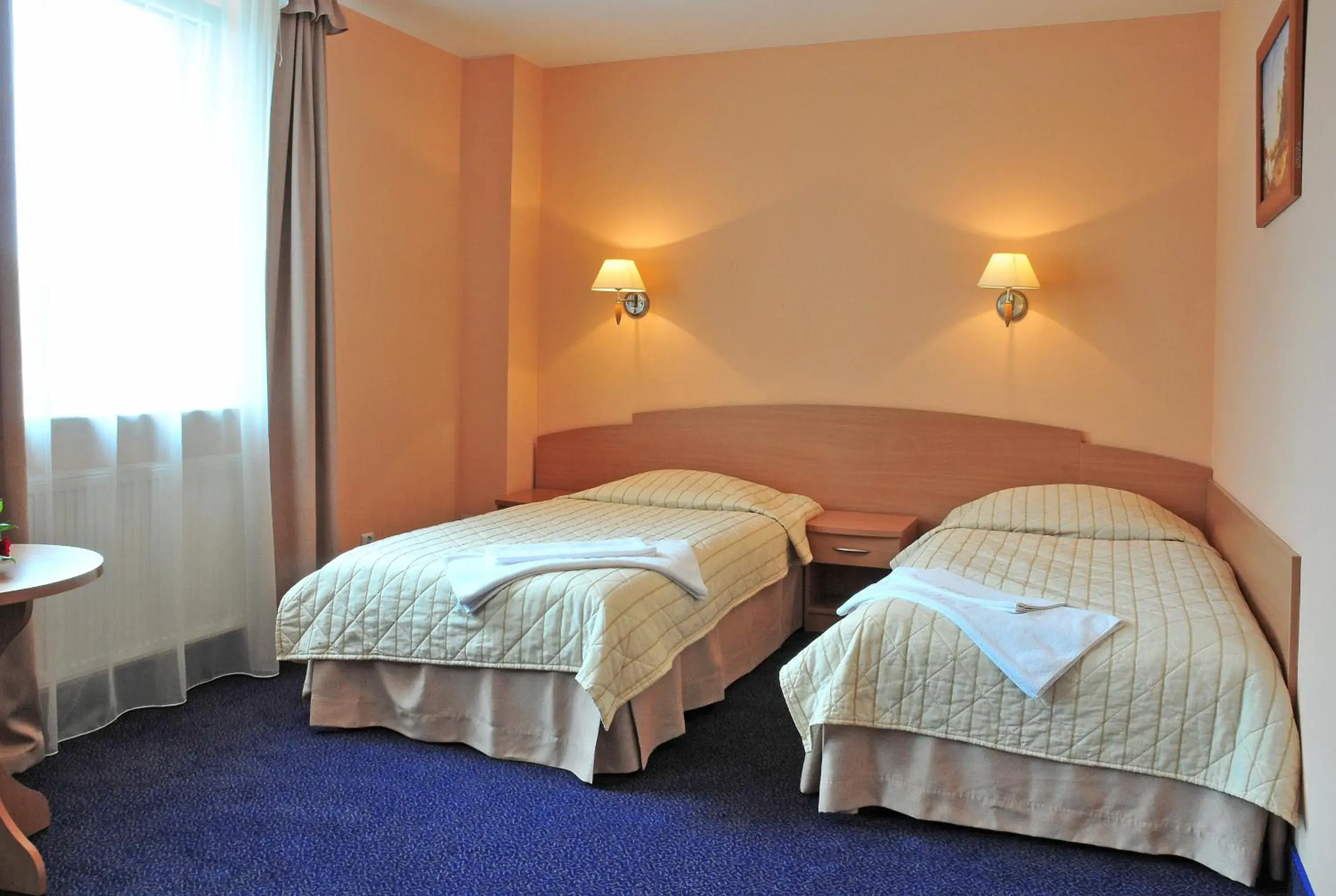 Double Room - Disability Access in Hotel Wodnik Double Room - Disability Access in Hotel Wodnik