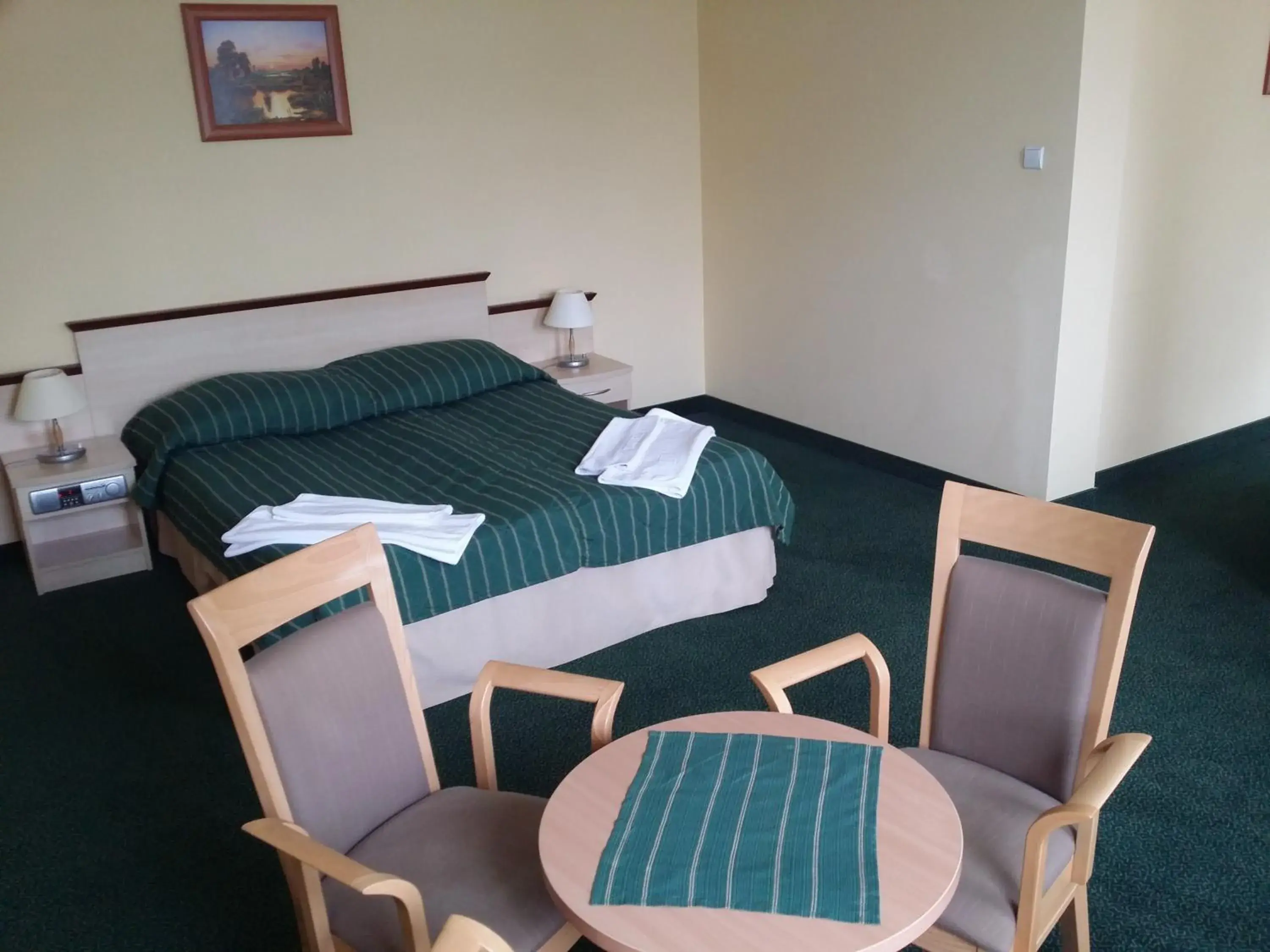 Standard Apartment - single occupancy in Hotel Wodnik Standard Apartment - single occupancy in Hotel Wodnik