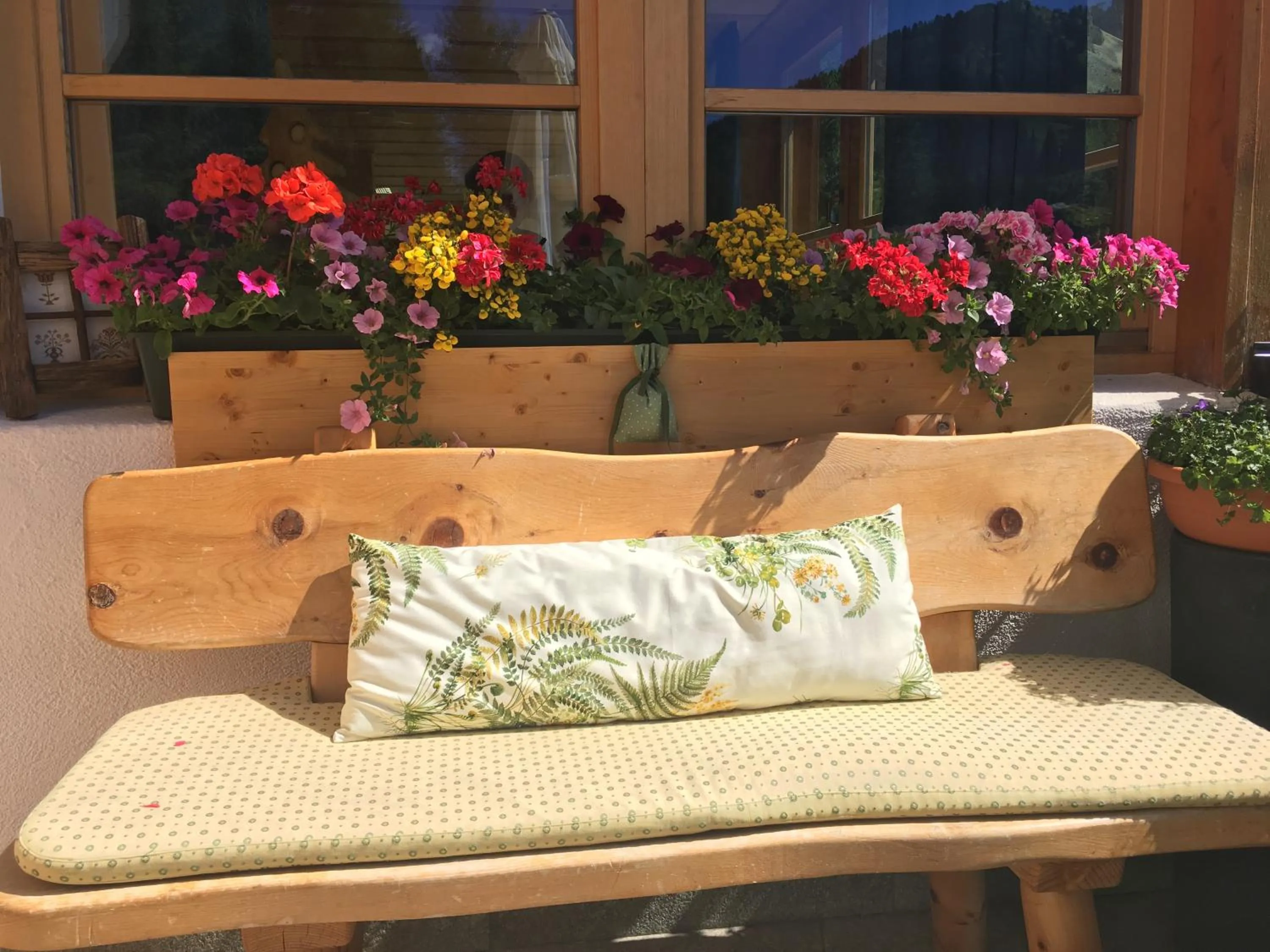 Garden view in Hotel Meisules