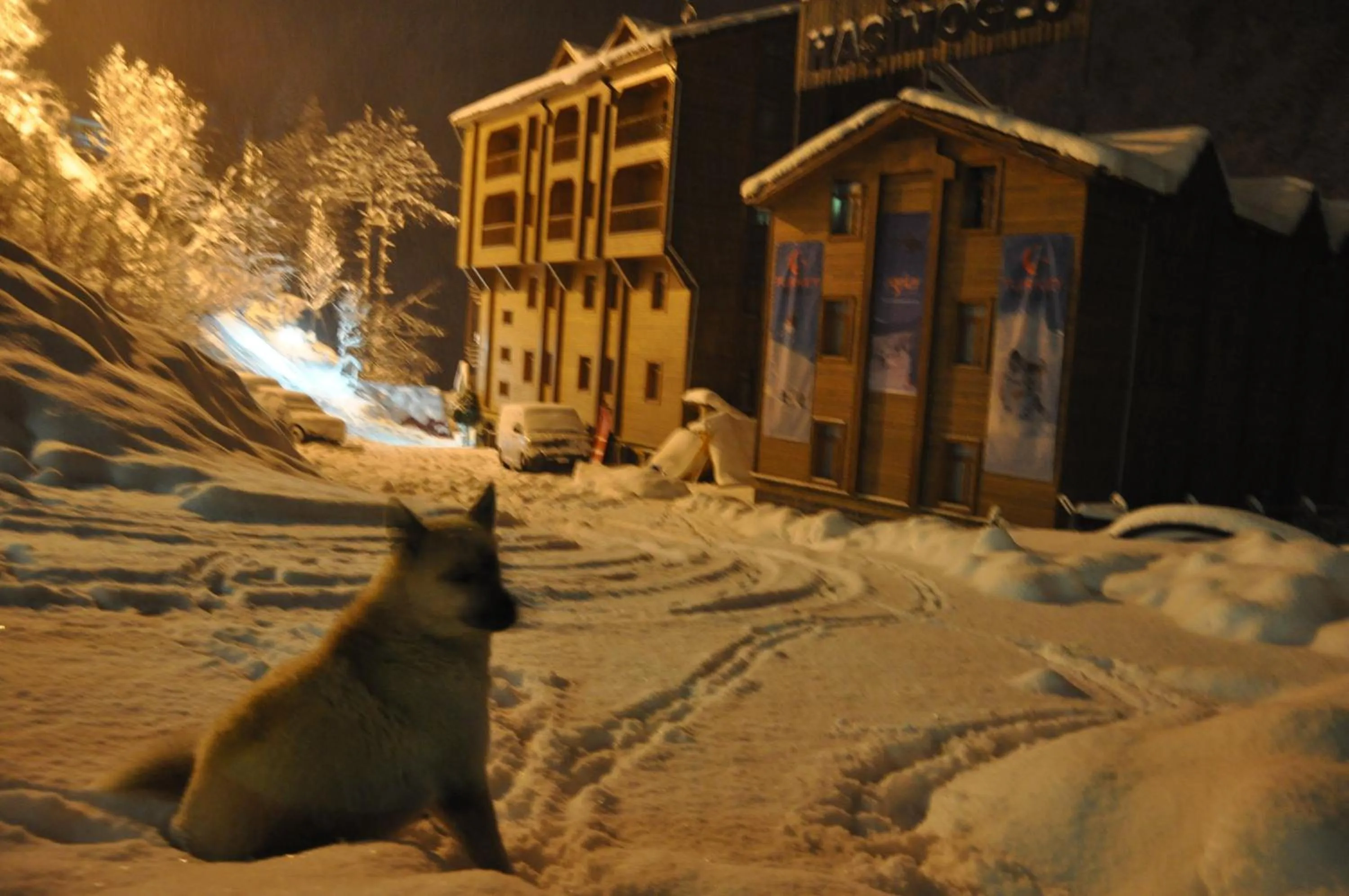 Facade/entrance in Ayder Hasimoglu Hotel