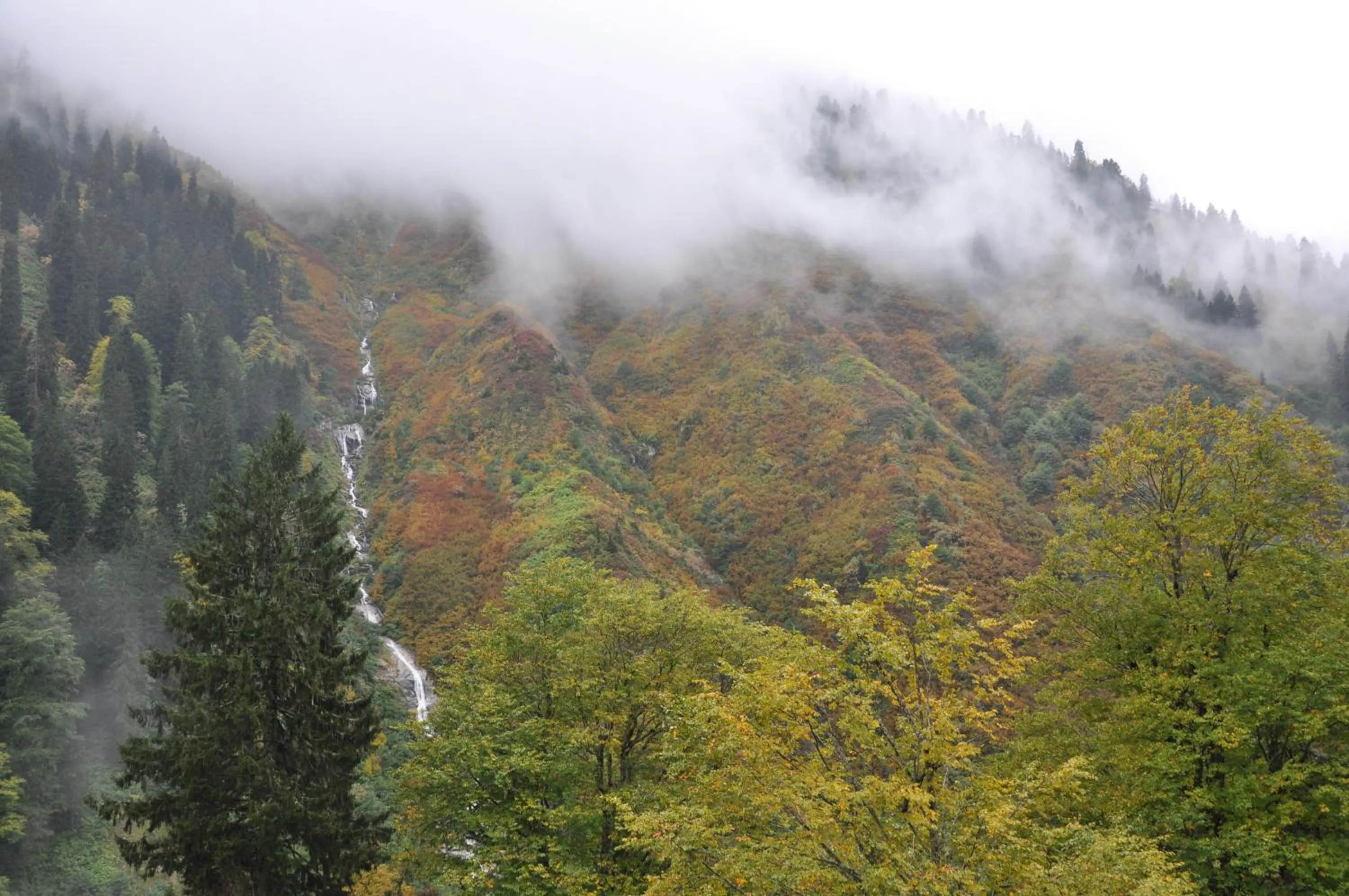 View (from property/room) in Ayder Hasimoglu Hotel