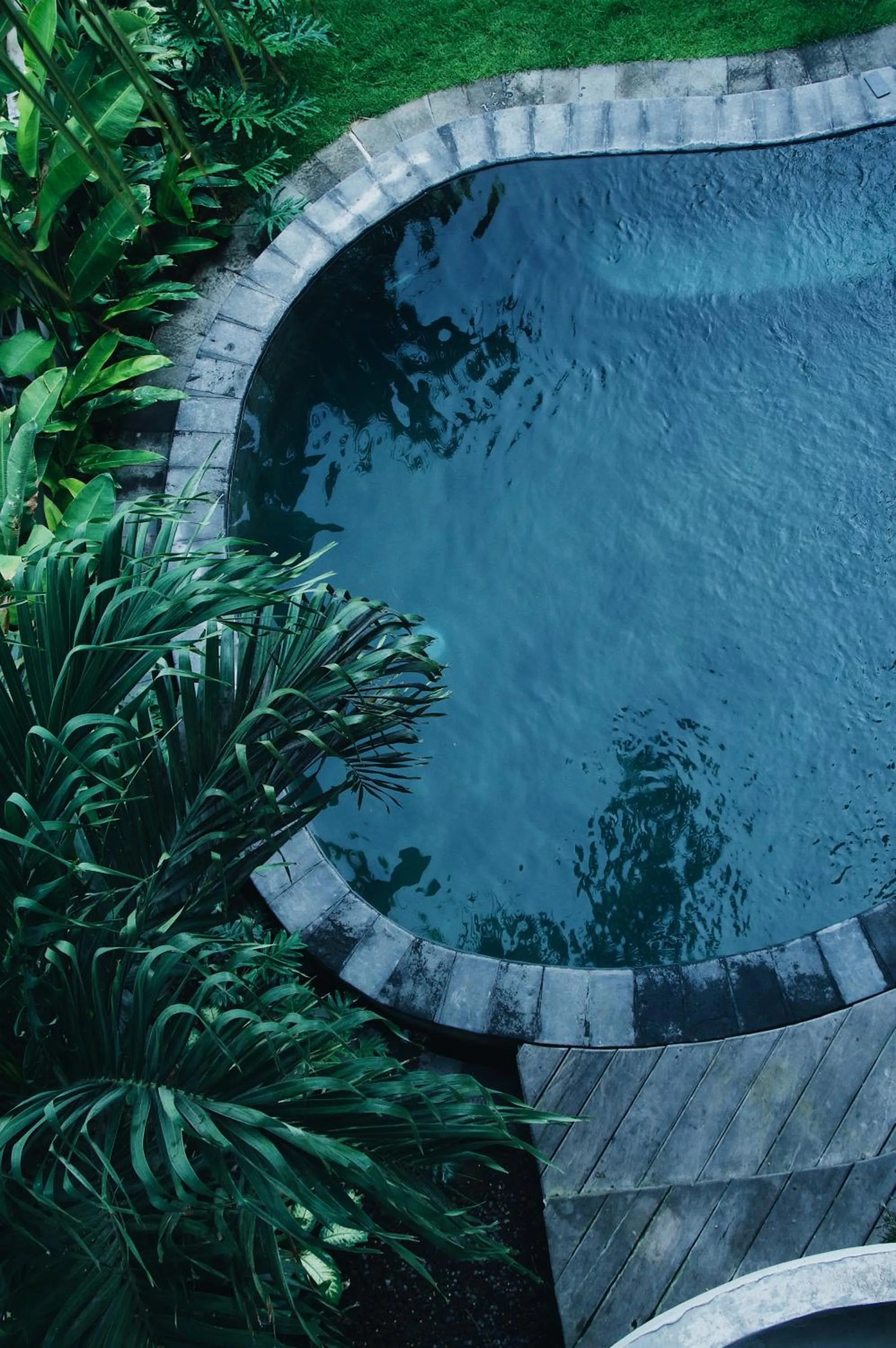 Garden in Surf Motel