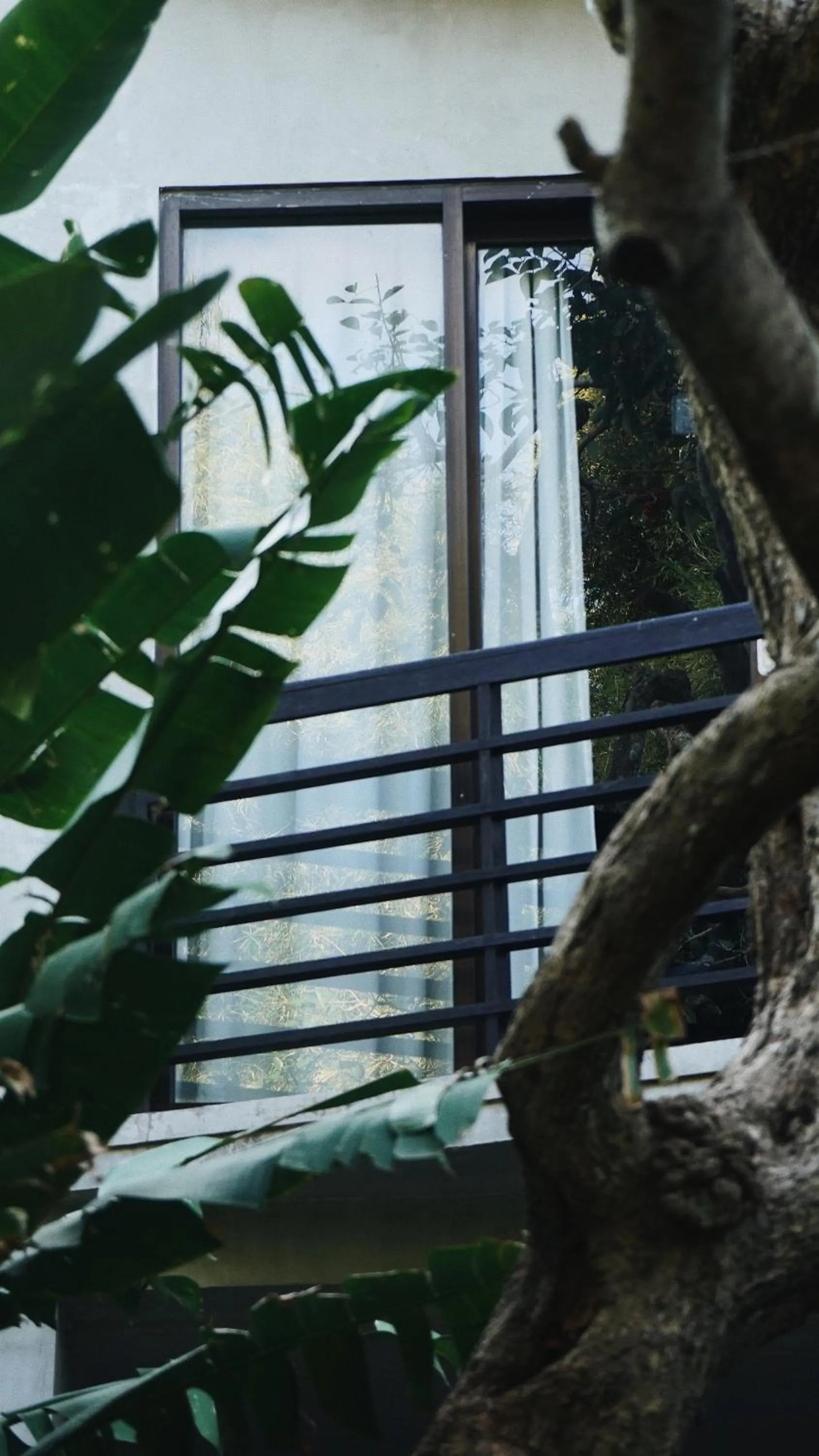 Balcony/Terrace in Surf Motel