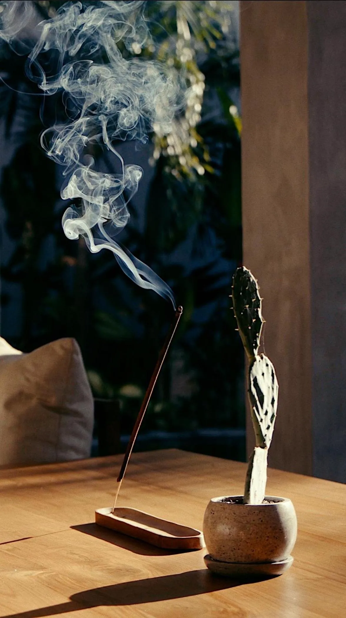 Restaurant/places to eat in Surf Motel