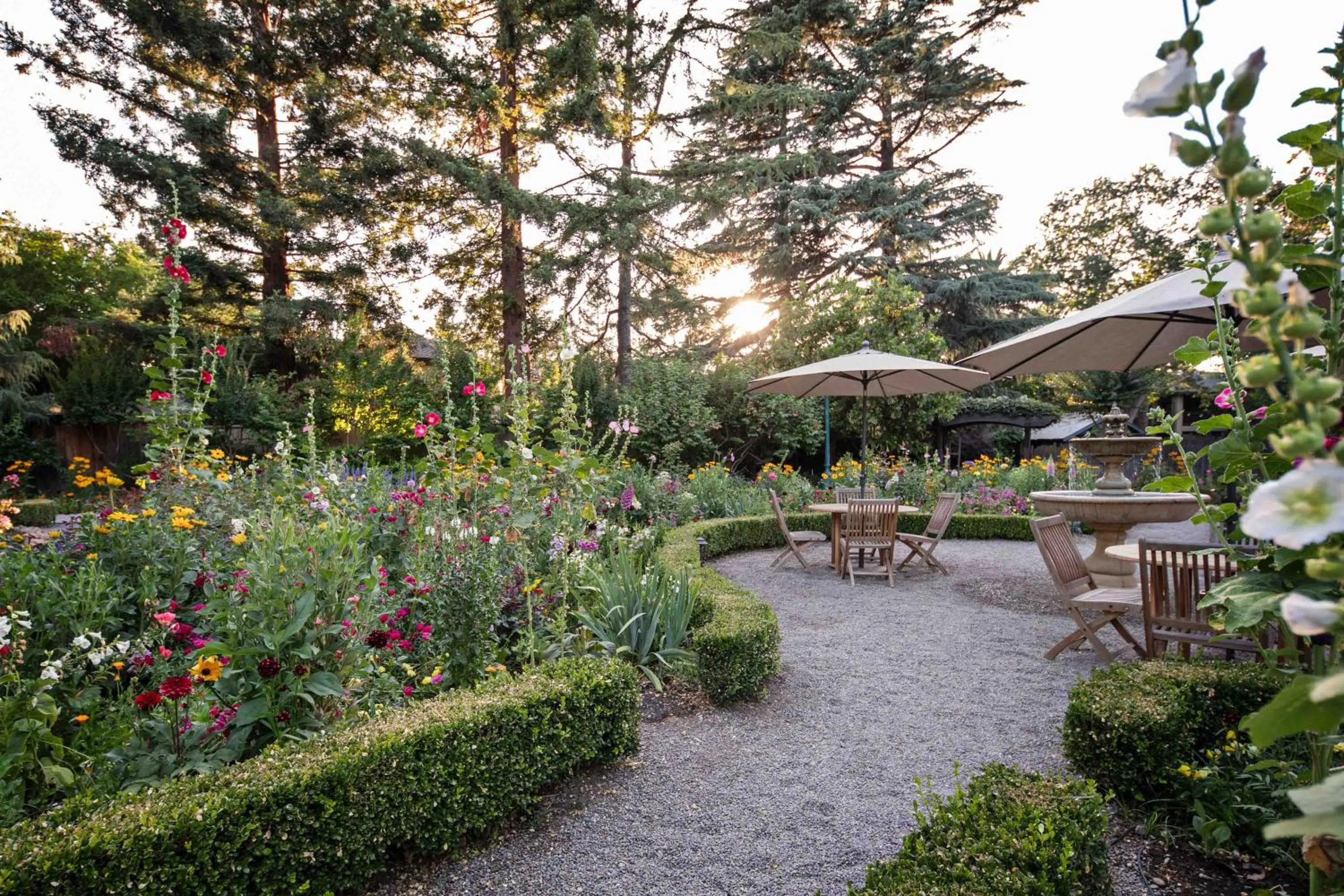 Garden in Appellation Lodi - Wine & Roses Resort and Spa