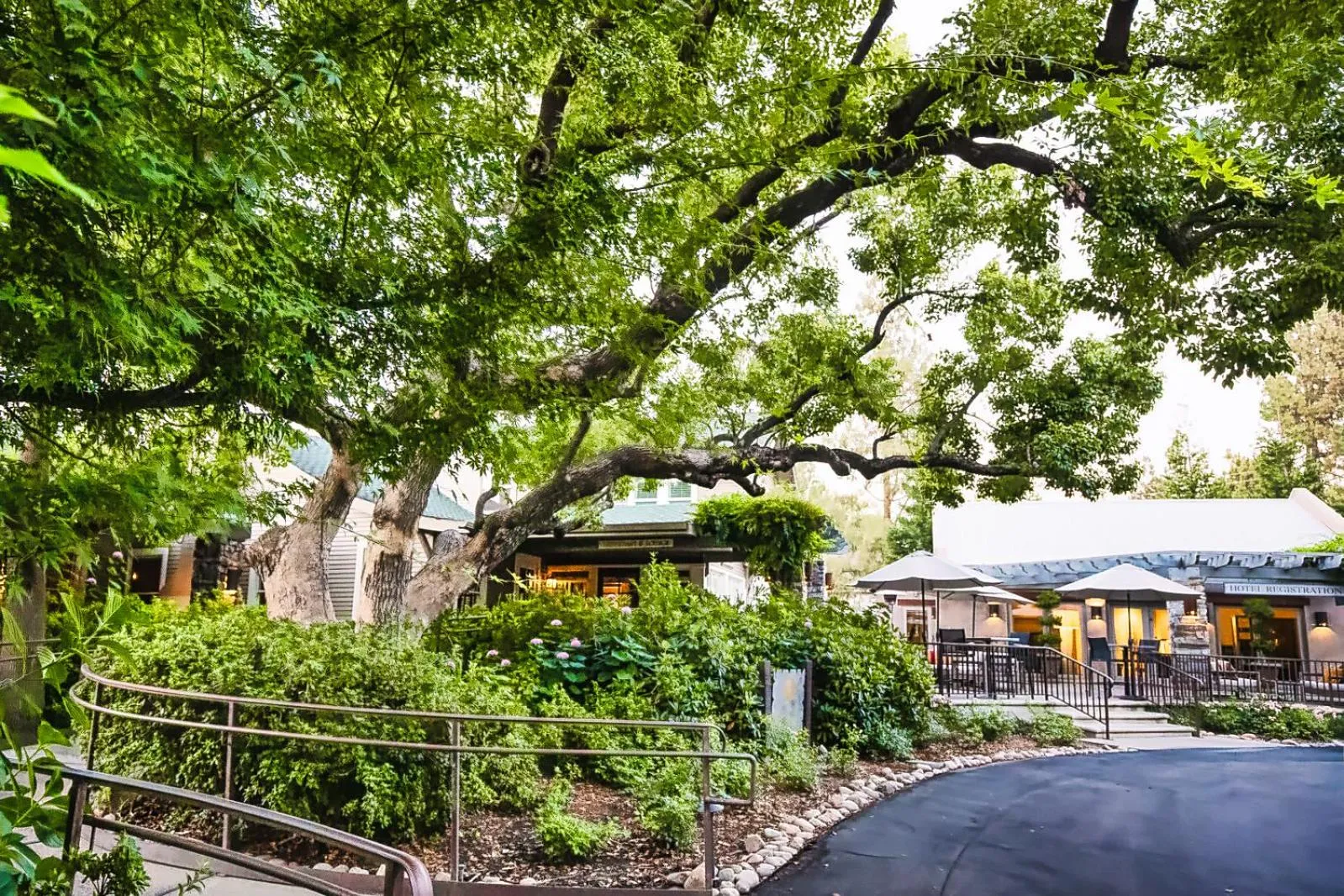 Natural landscape in Appellation Lodi - Wine & Roses Resort and Spa