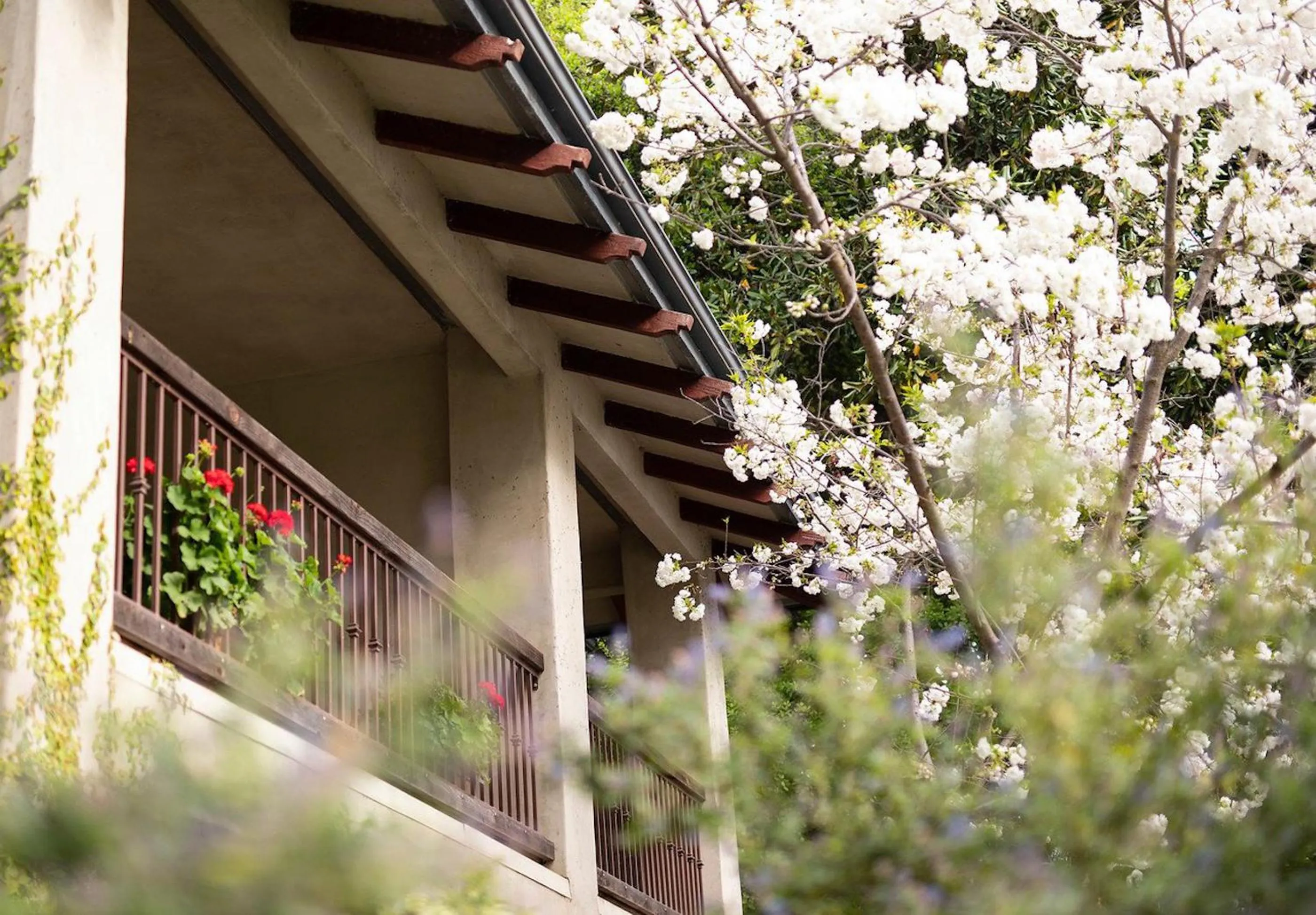 Balcony/Terrace in Appellation Lodi - Wine & Roses Resort and Spa