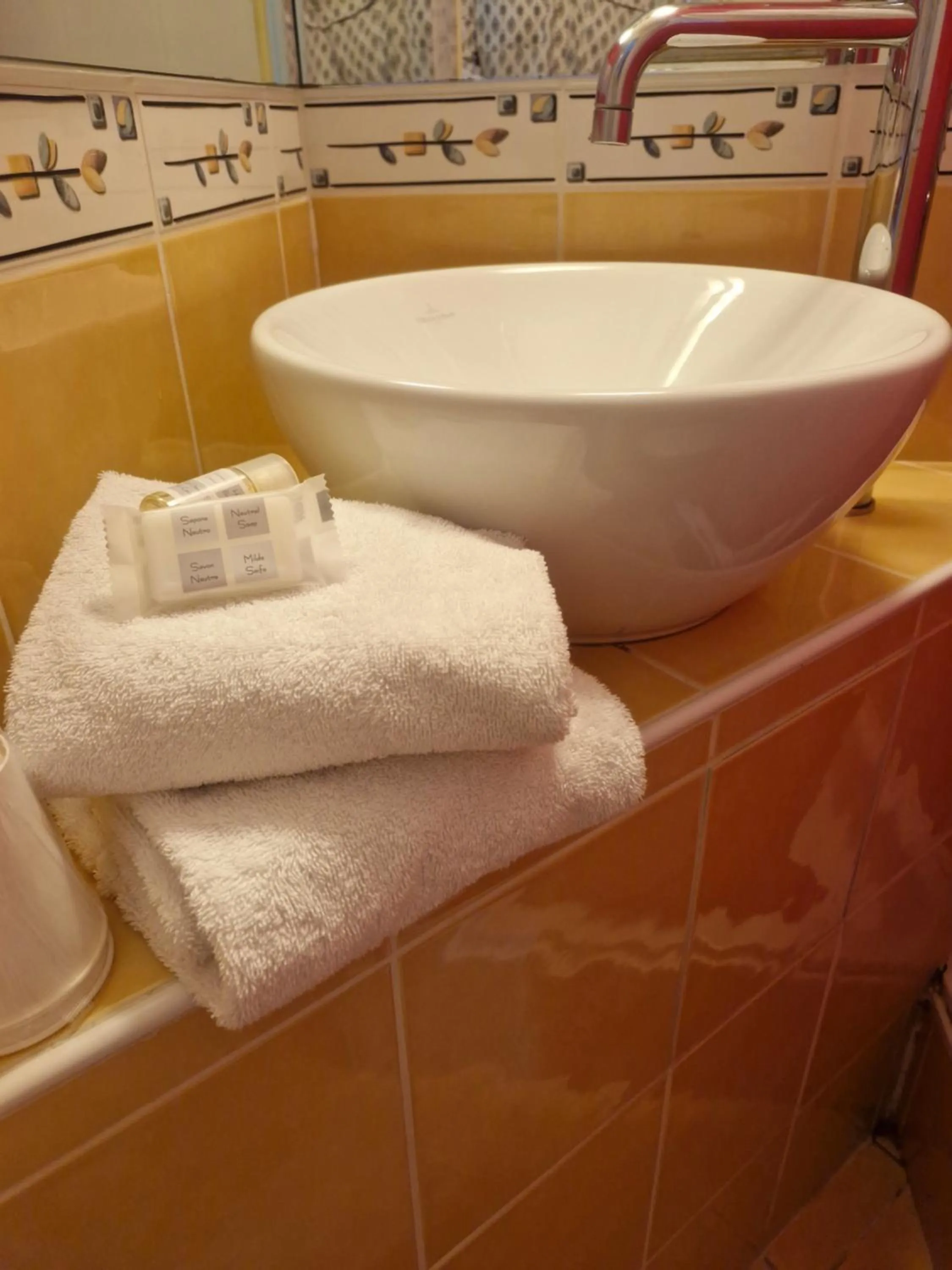 Shower in Hôtel du Parc Limoges & Restaurant "Le temps d'une pause"