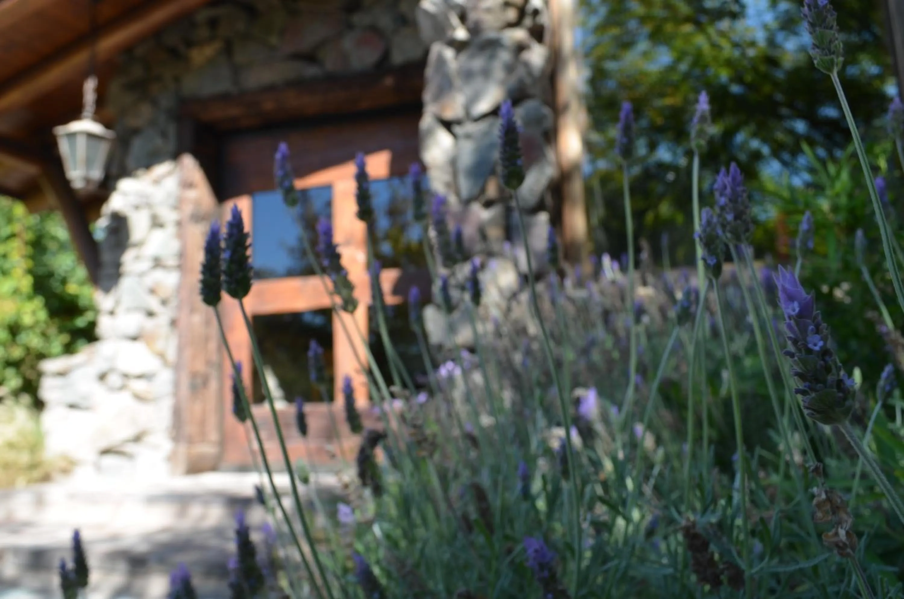Facade/entrance in Lares De Chacras