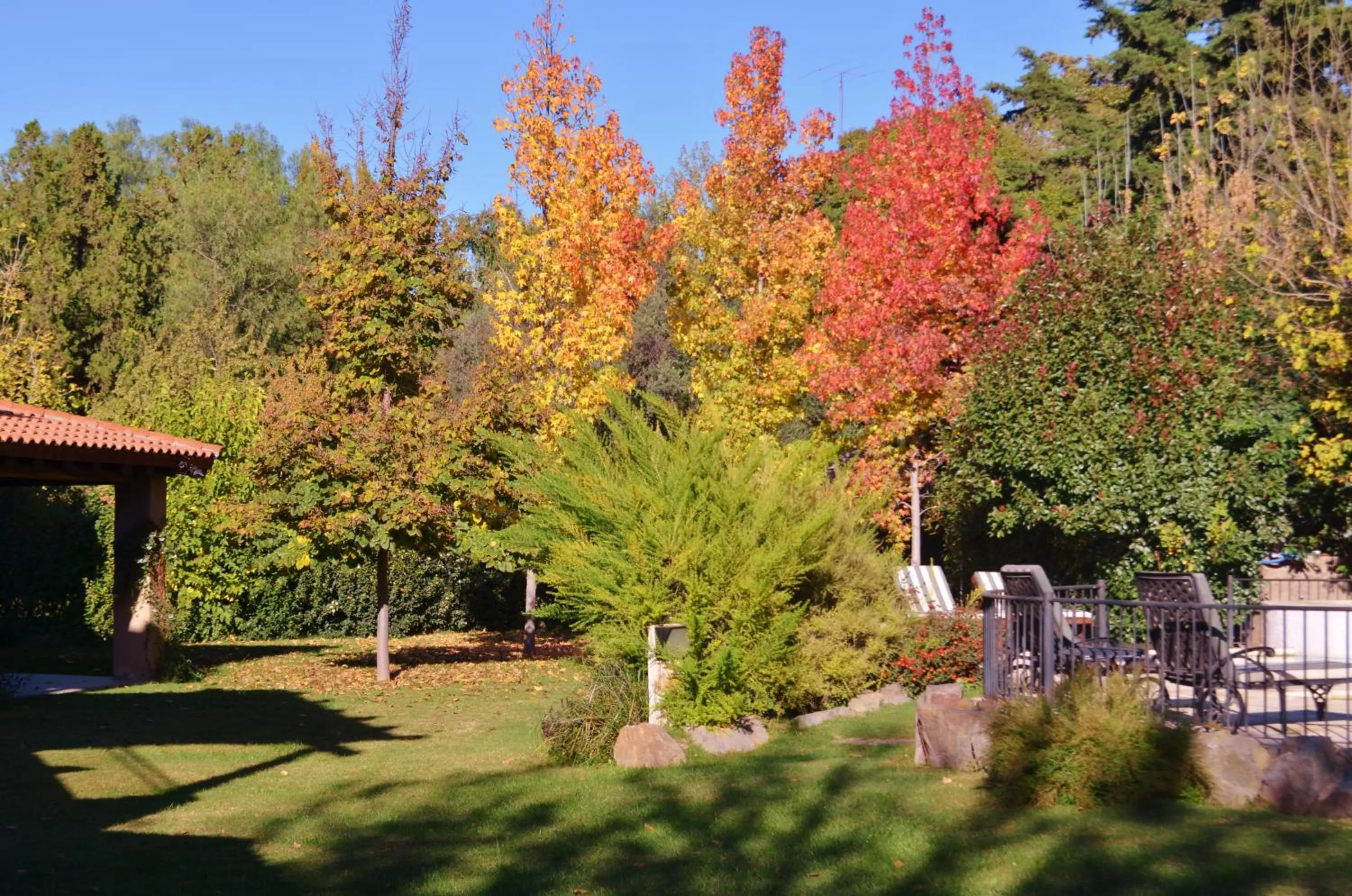 Garden in Lares De Chacras
