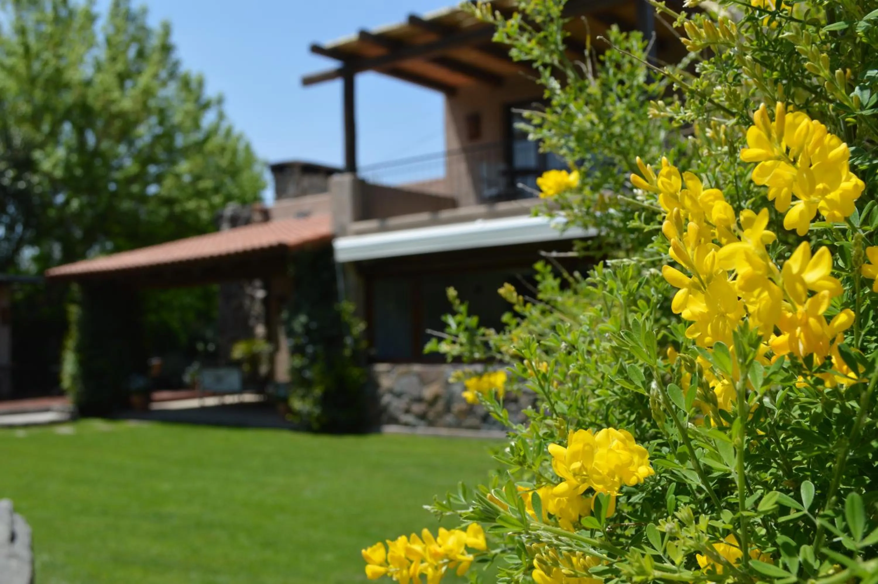Garden in Lares De Chacras