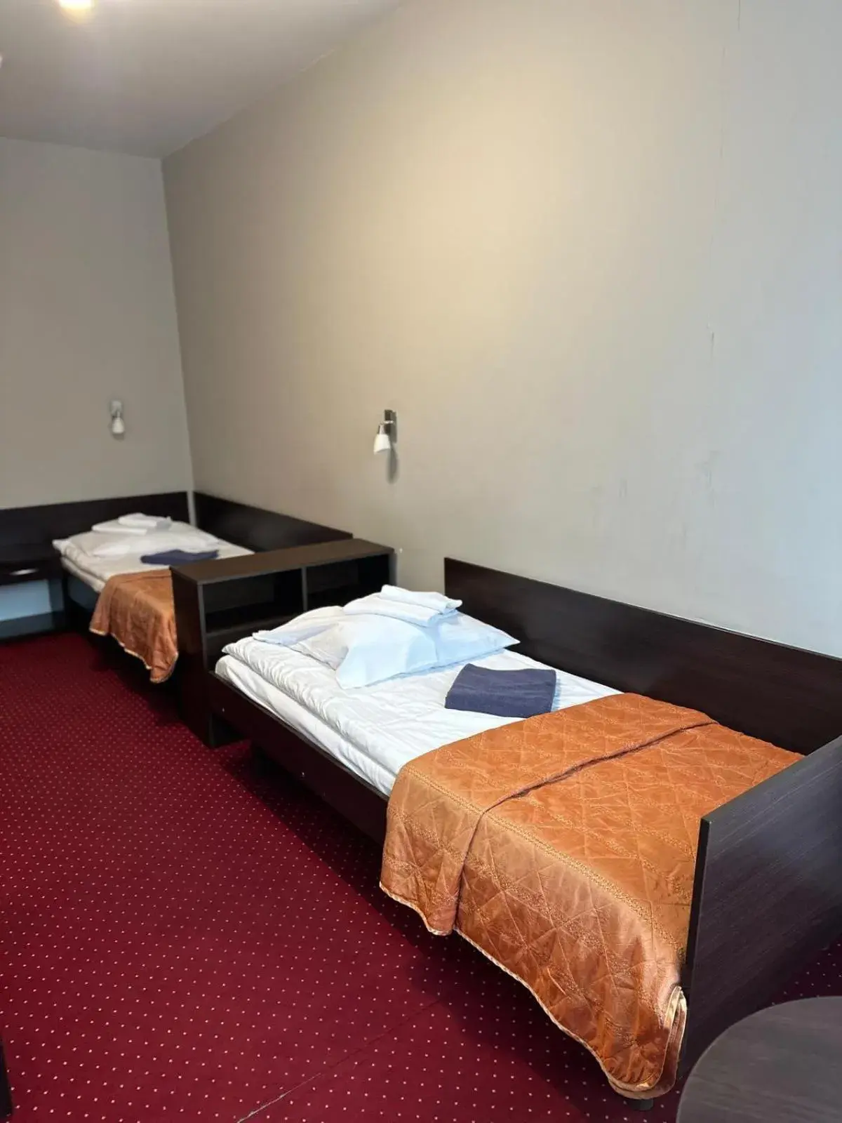 Twin Room in Hotel *** NAT Ustroń Twin Room in Hotel *** NAT Ustroń