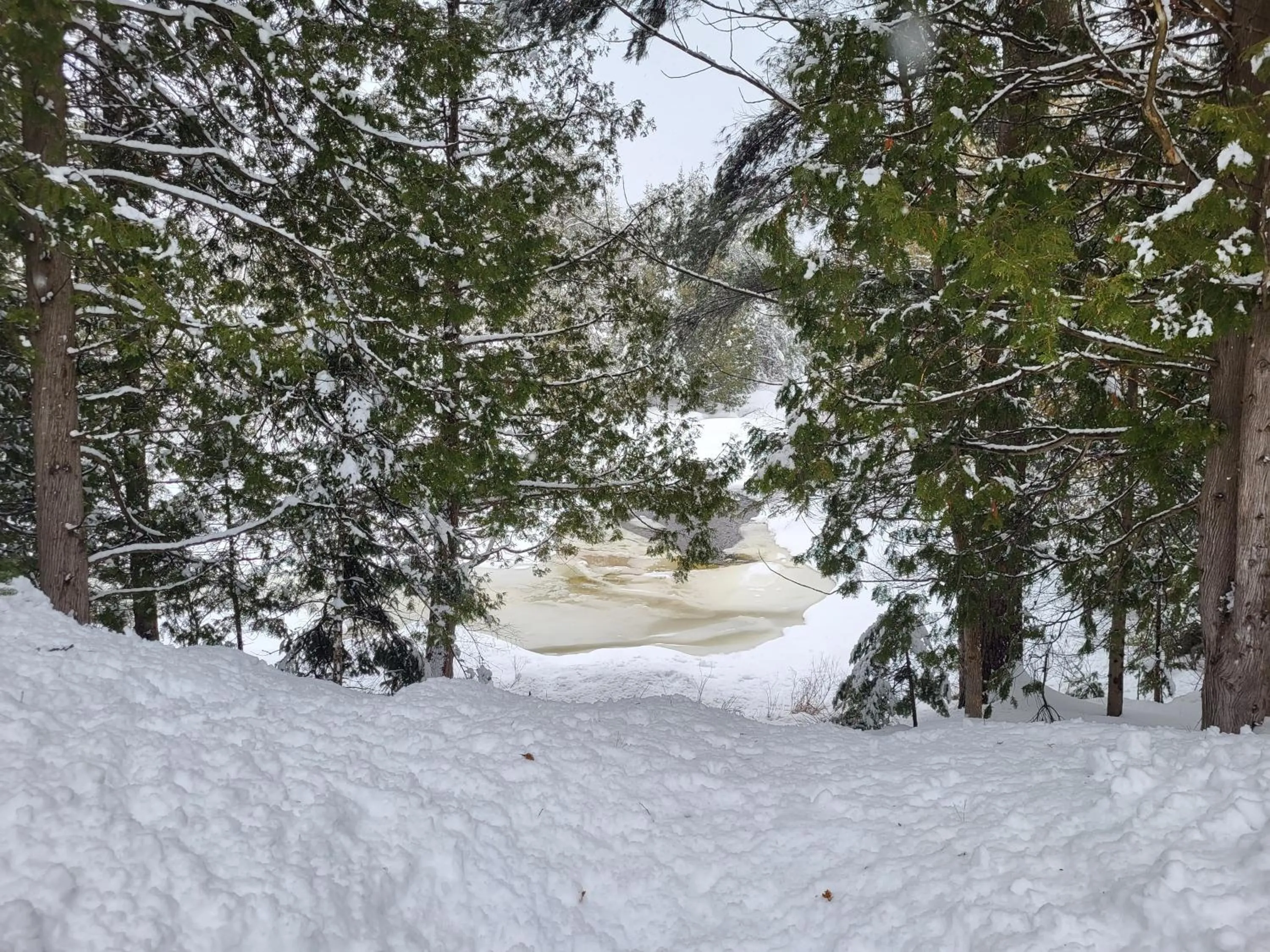 Winter in Chalet Versailles