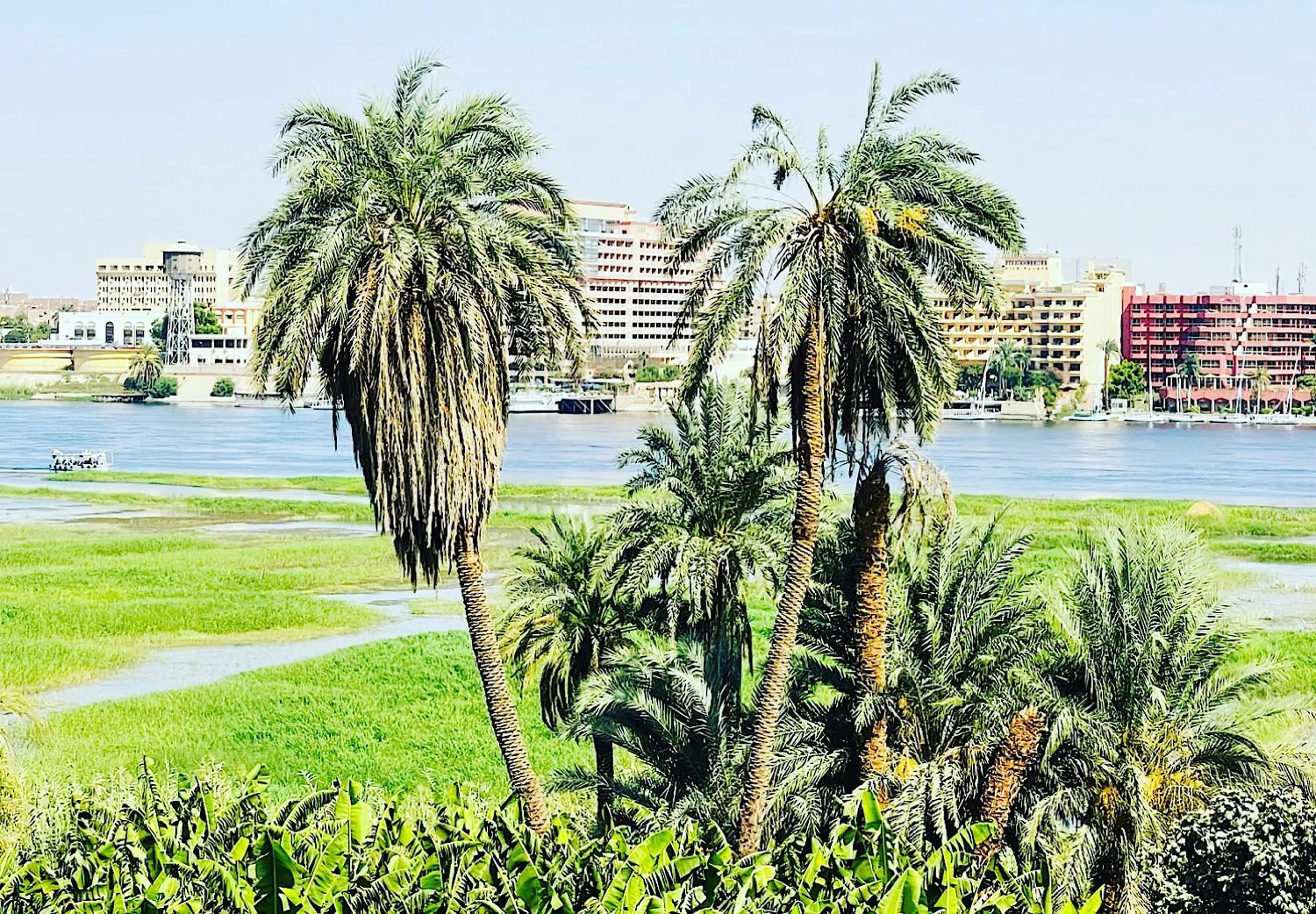 City view in Jewel Howard Carter Hotel