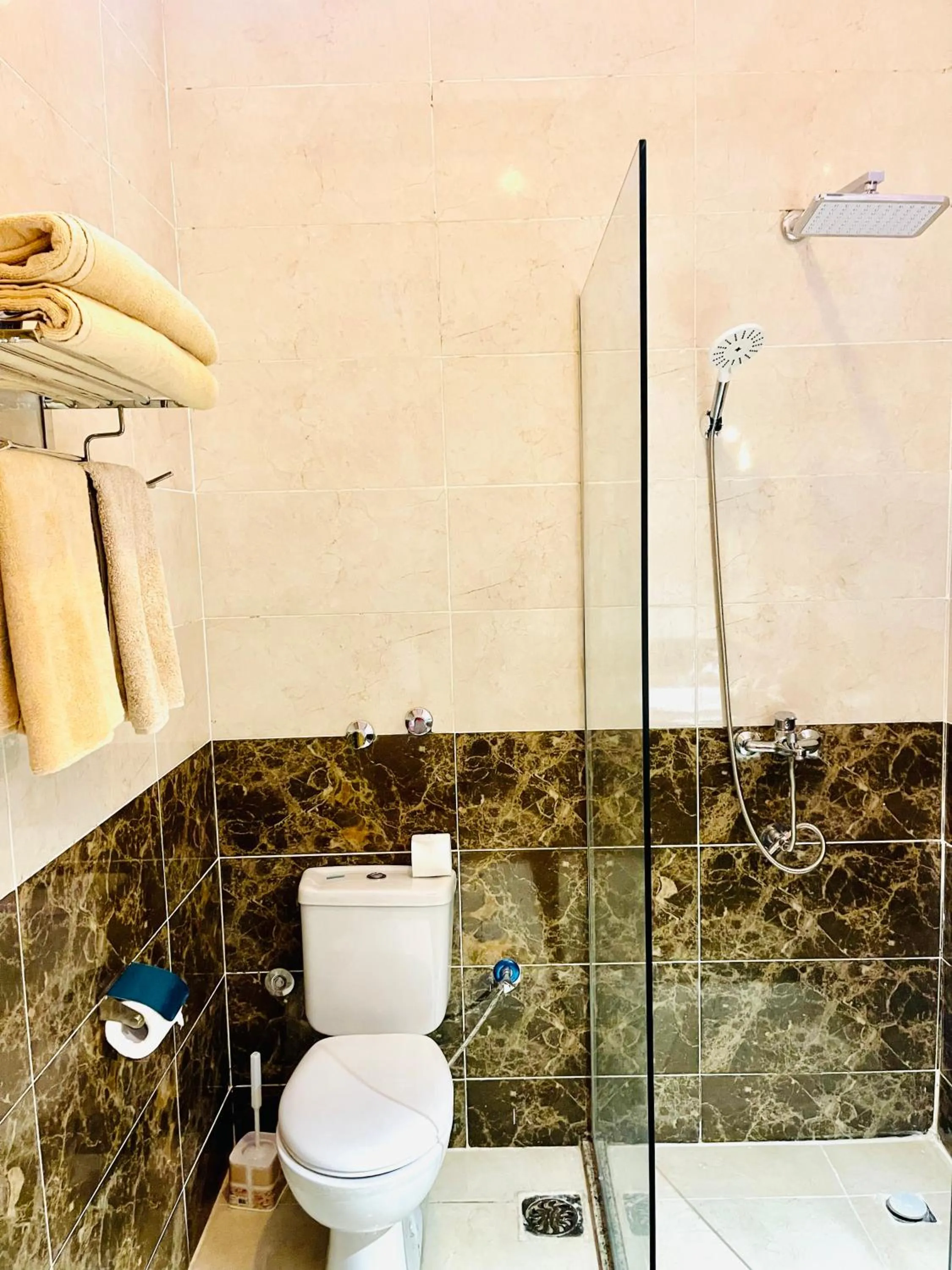 Shower in Jewel Howard Carter Hotel