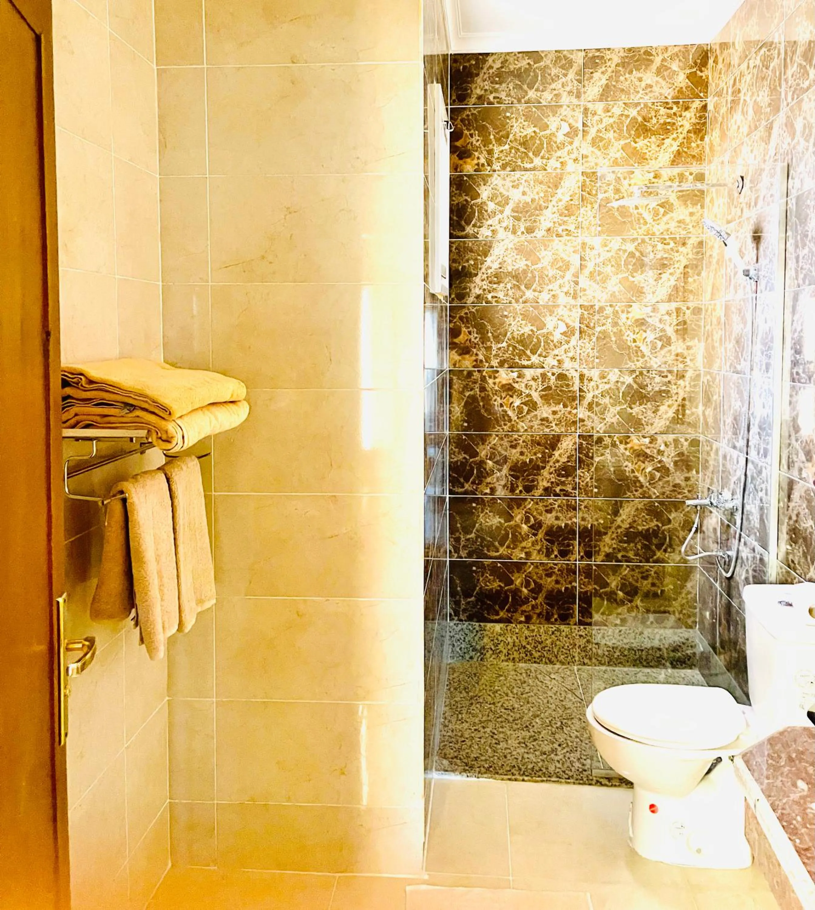 Shower in Jewel Howard Carter Hotel