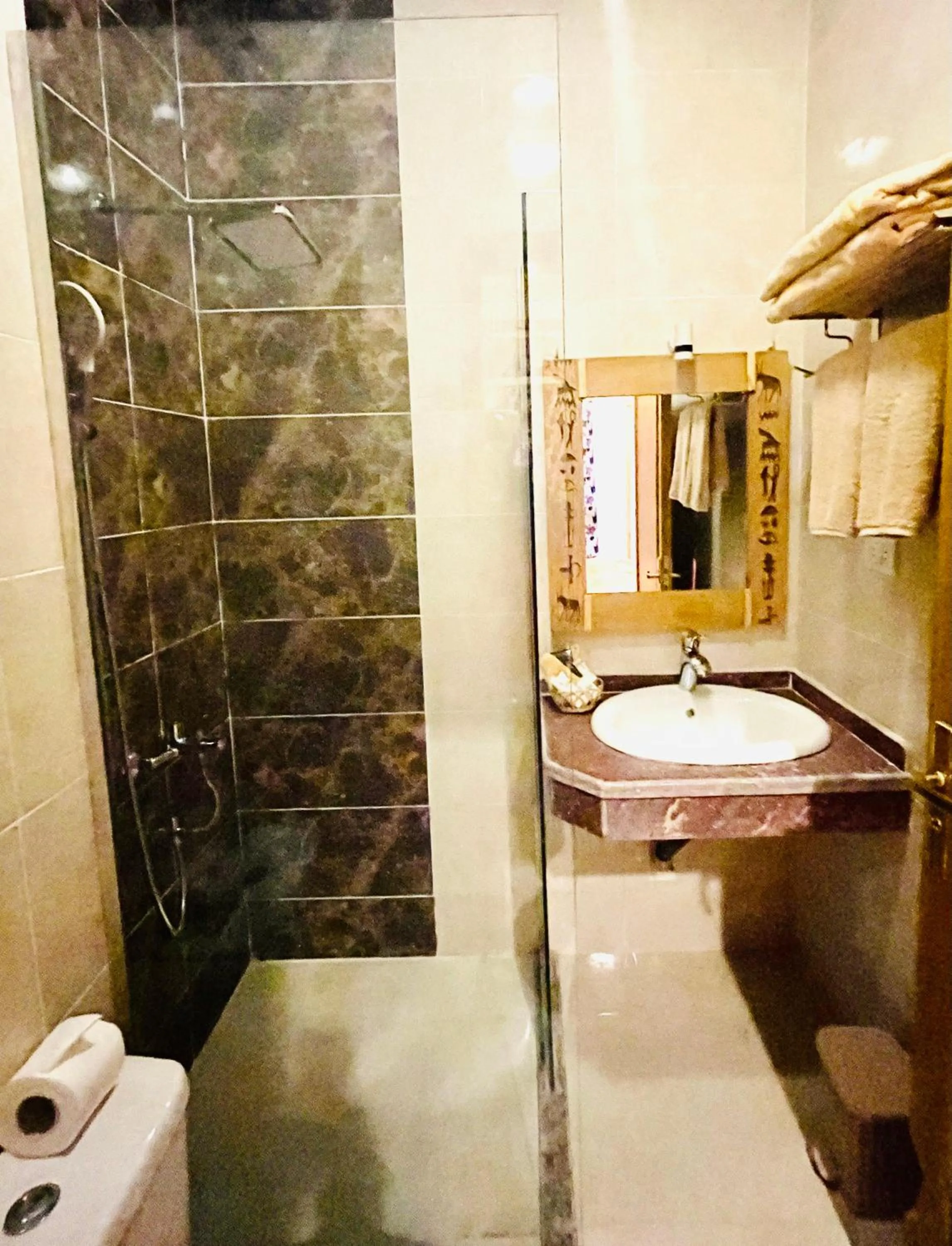 Shower in Jewel Howard Carter Hotel