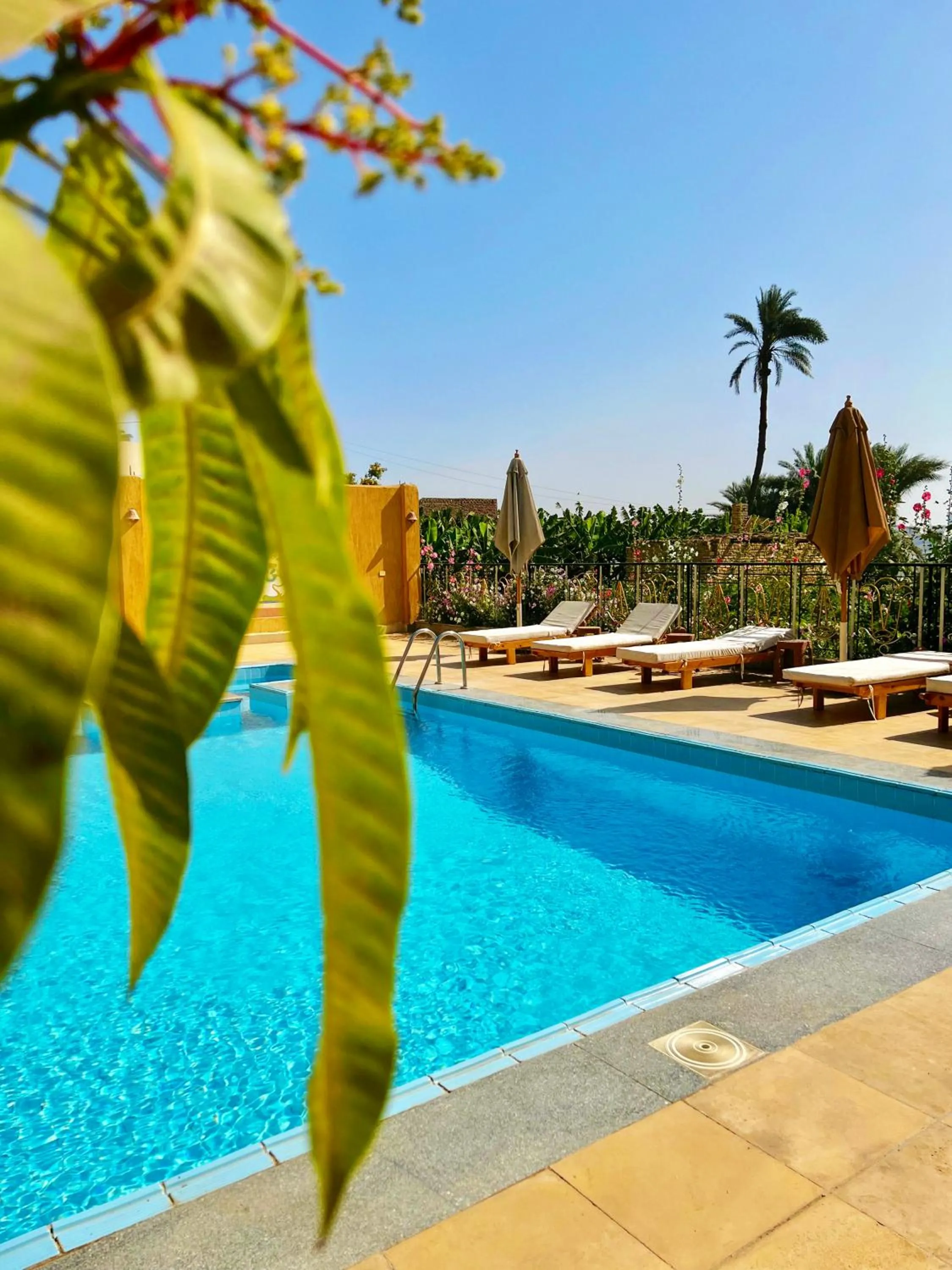 Day in Jewel Howard Carter Hotel