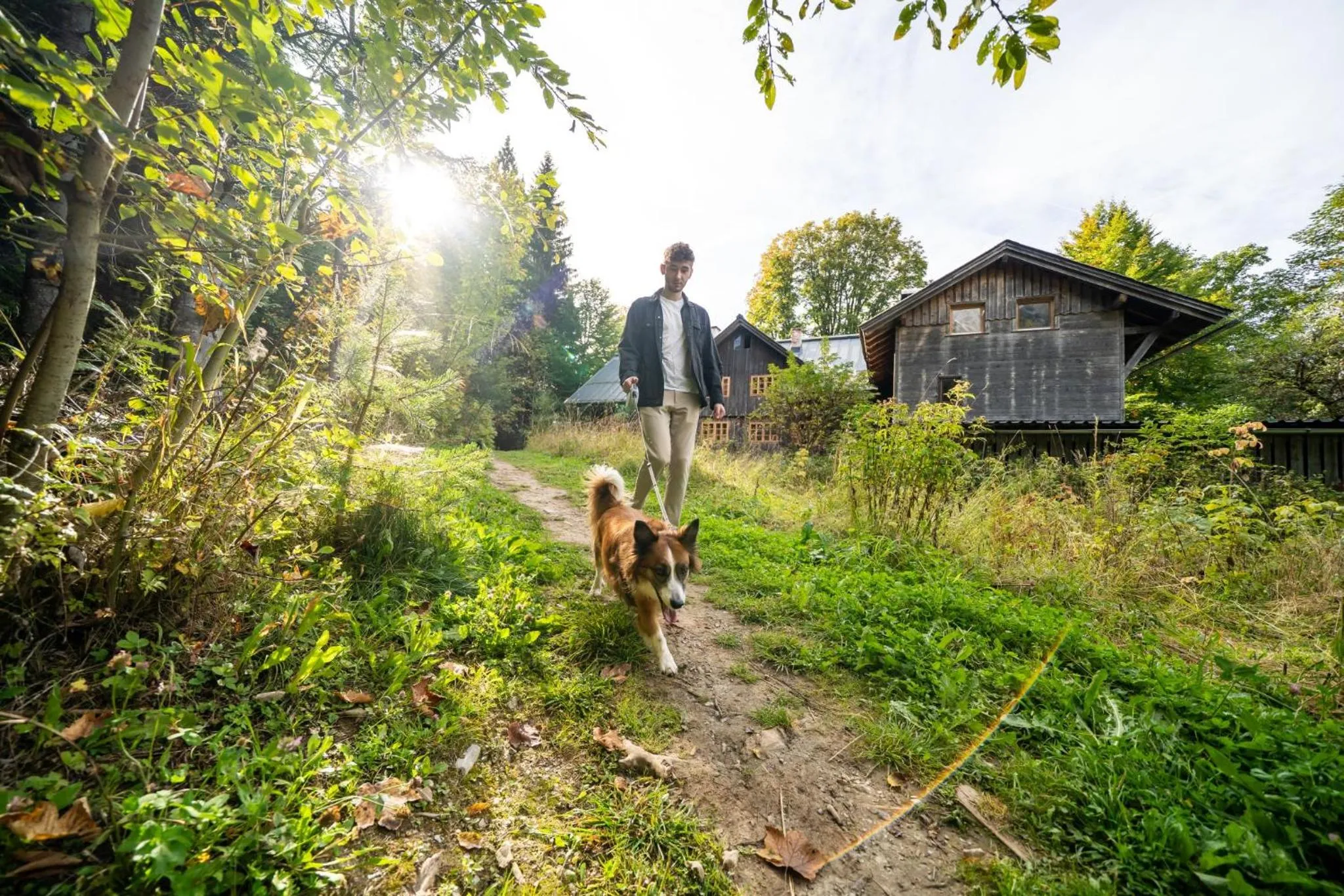 Area and facilities in Almfrieden Hotel & Romantikchalet