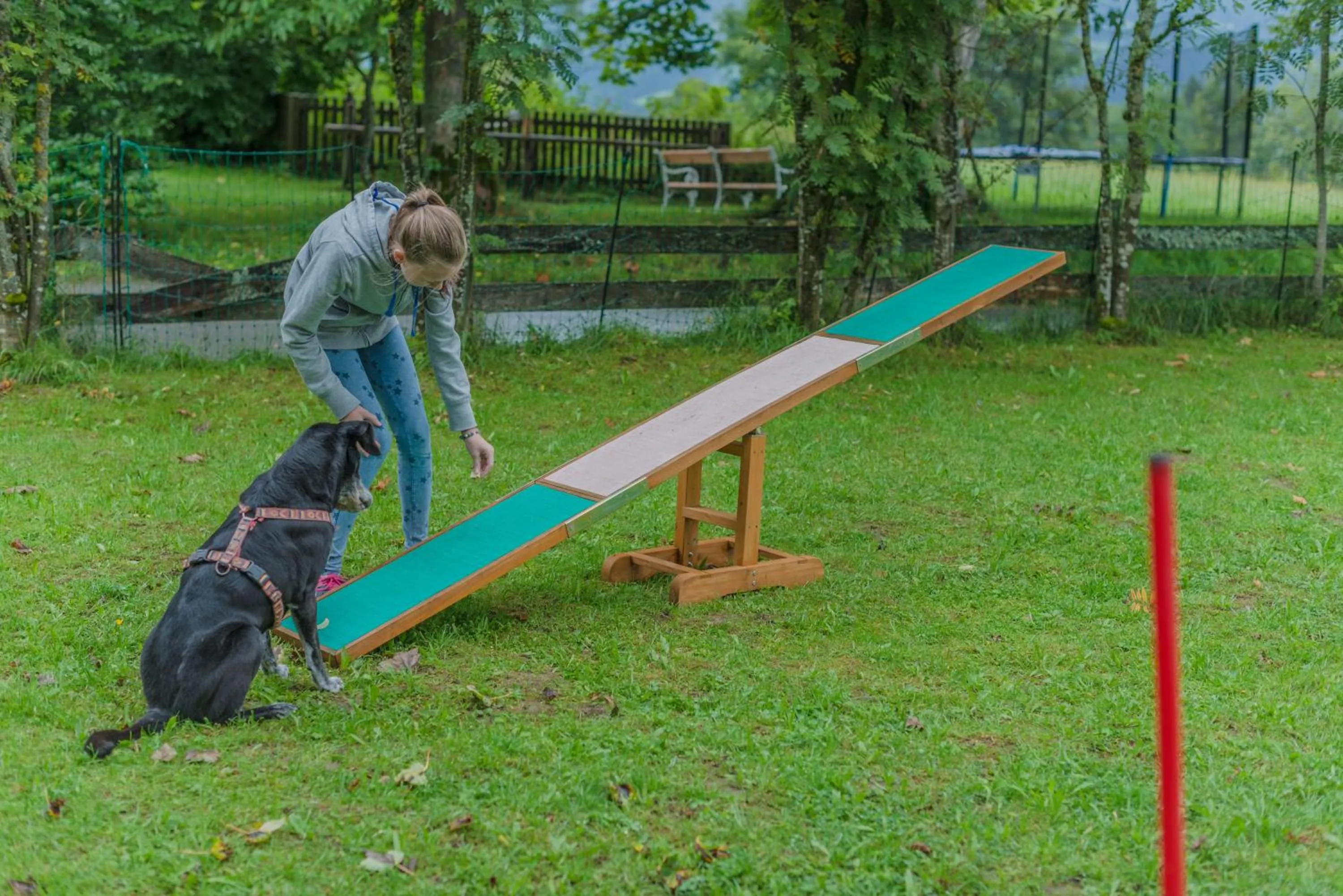 Activities in Almfrieden Hotel & Romantikchalet