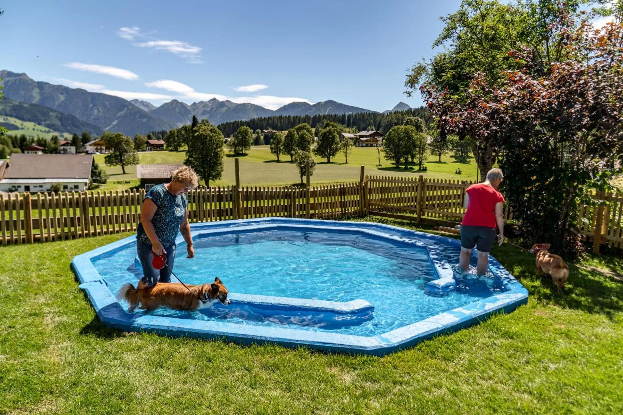 Area and facilities in Almfrieden Hotel & Romantikchalet