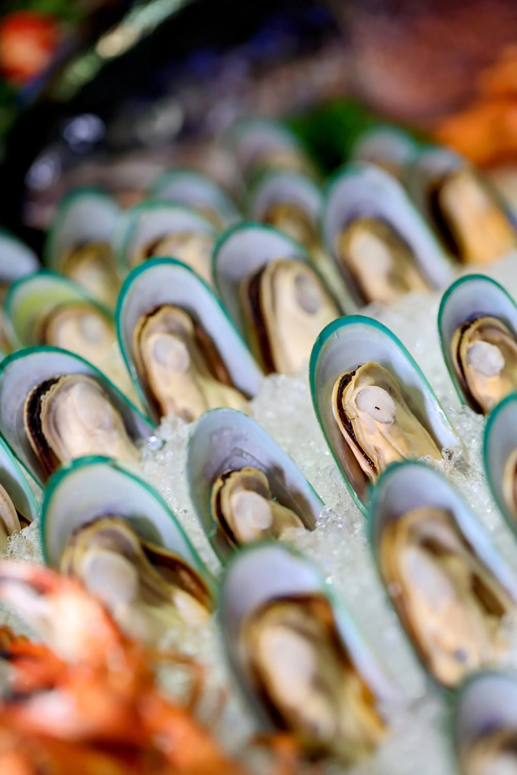 Restaurant/places to eat in Shangri-La Dalian