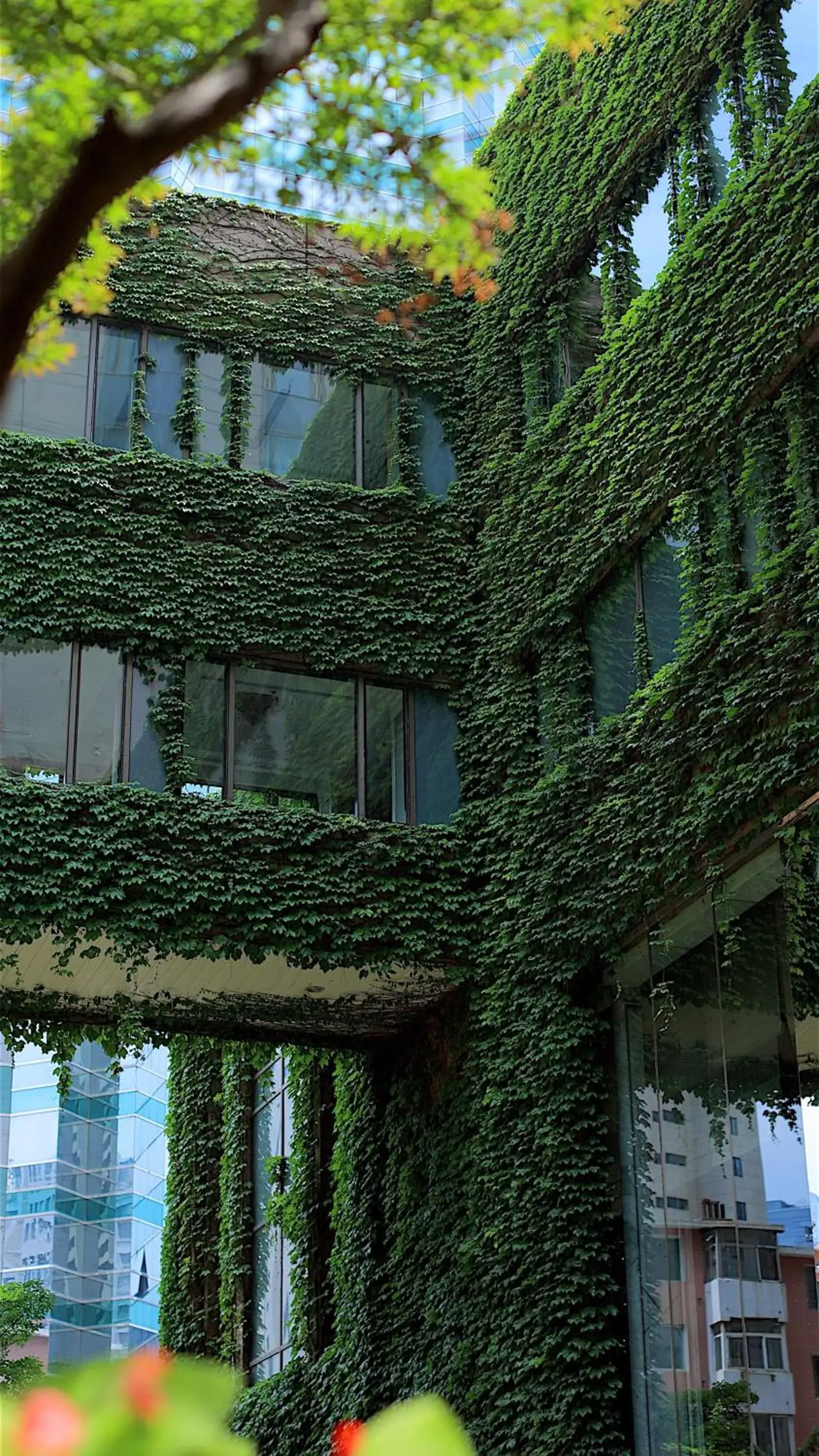 Property building in Shangri-La Dalian Property building in Shangri-La Dalian