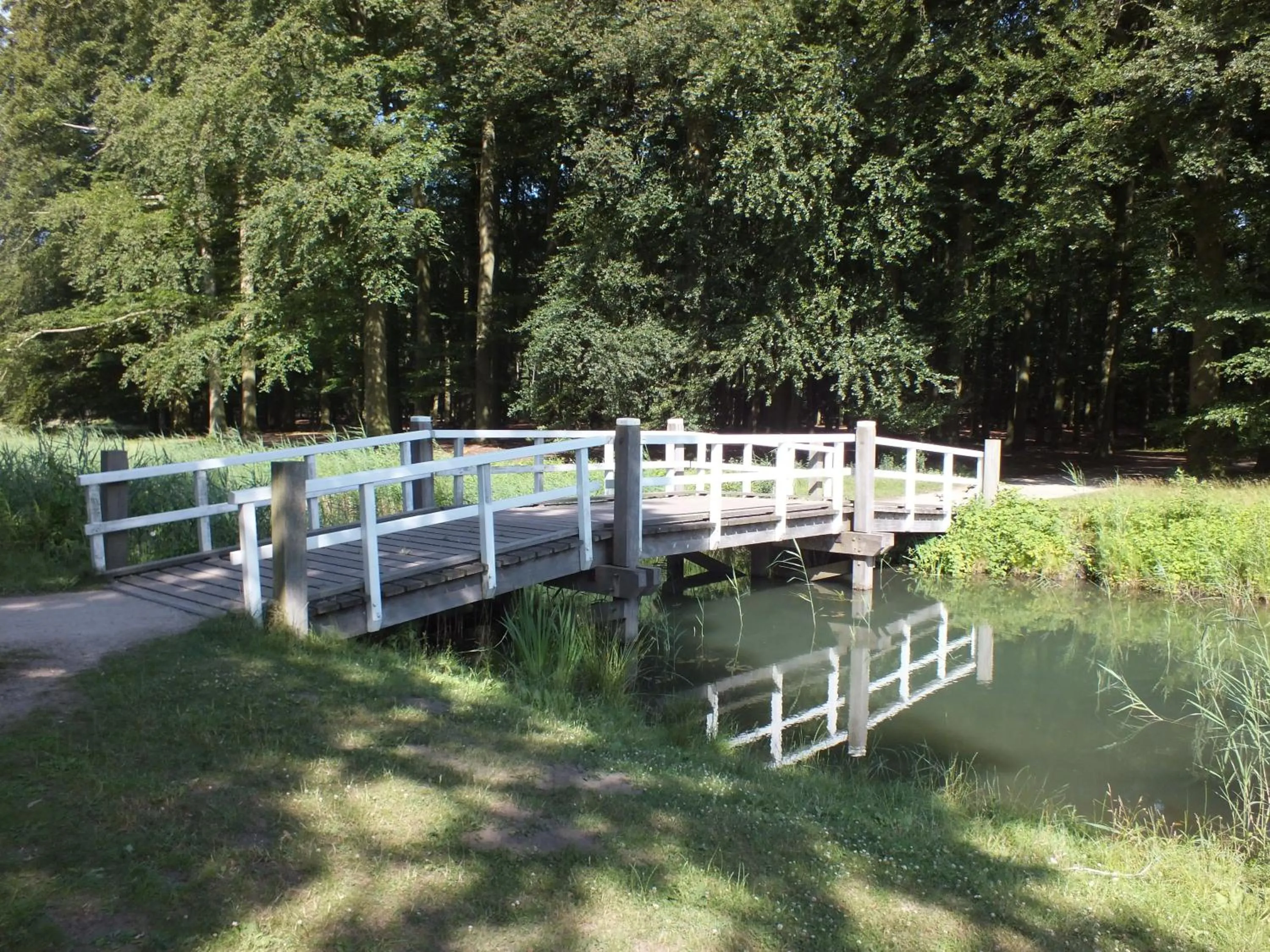 Hiking in Studio De Bilt