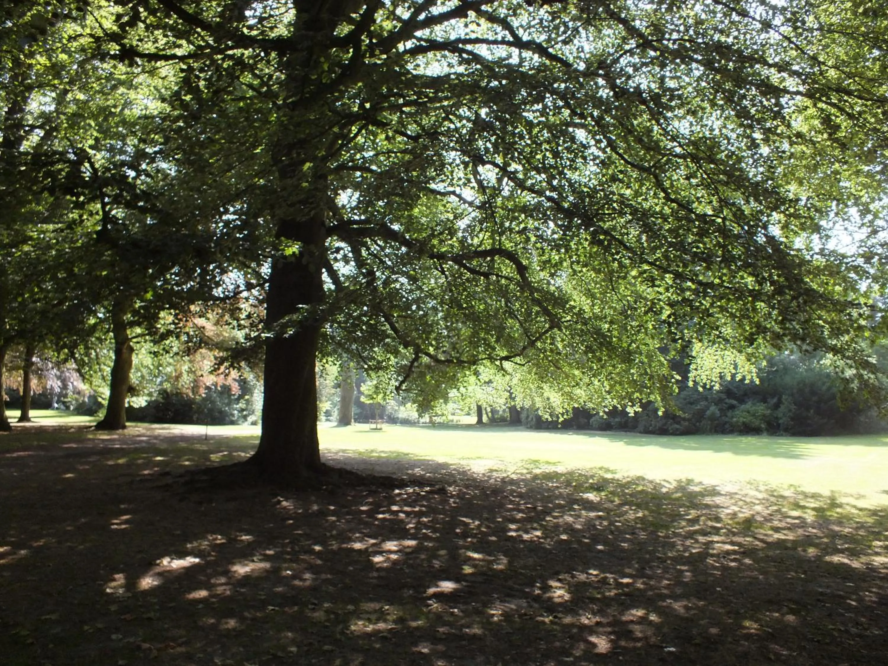 Hiking in Studio De Bilt