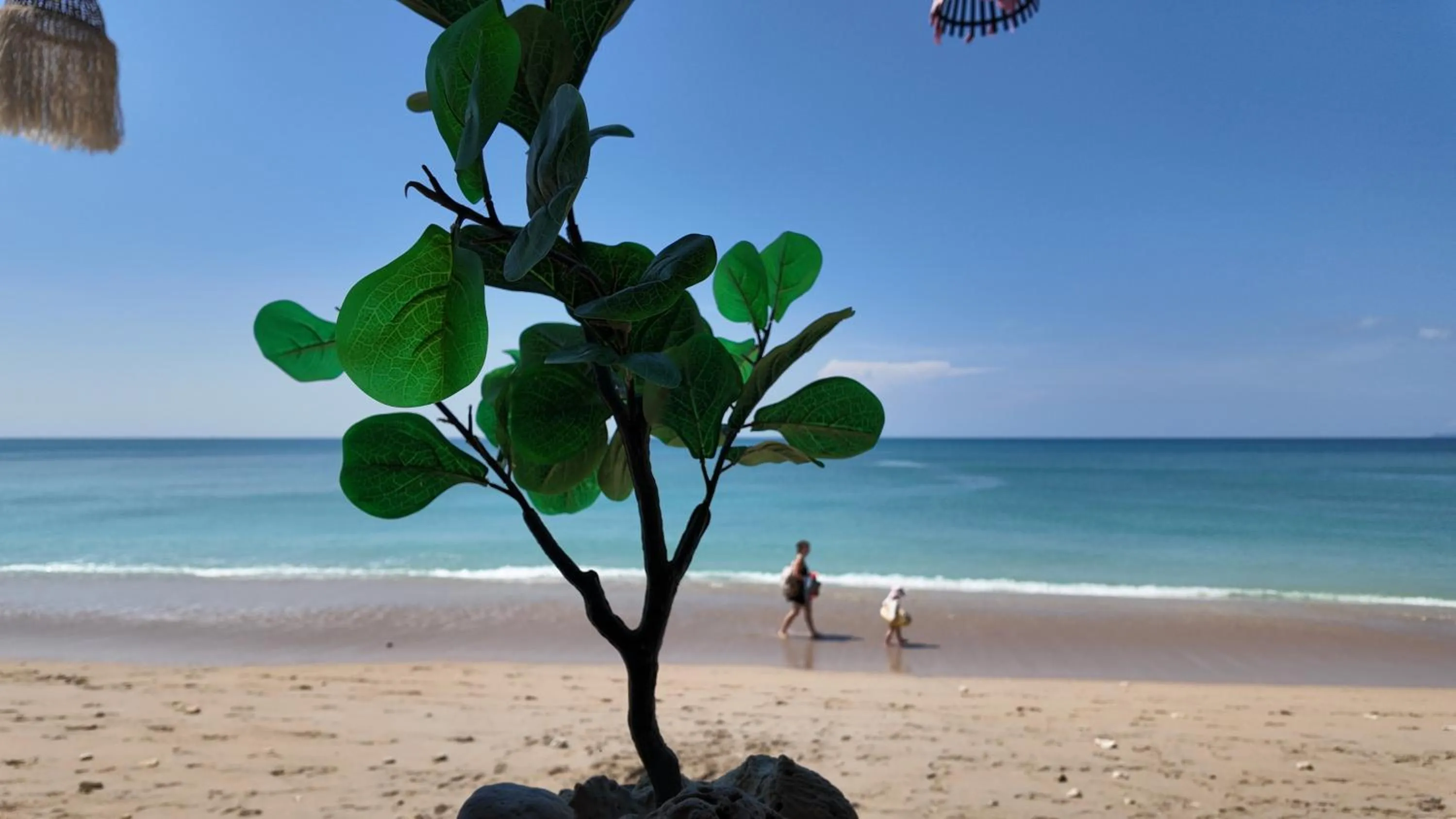 Property building in Lanta Riviera Beach Resort