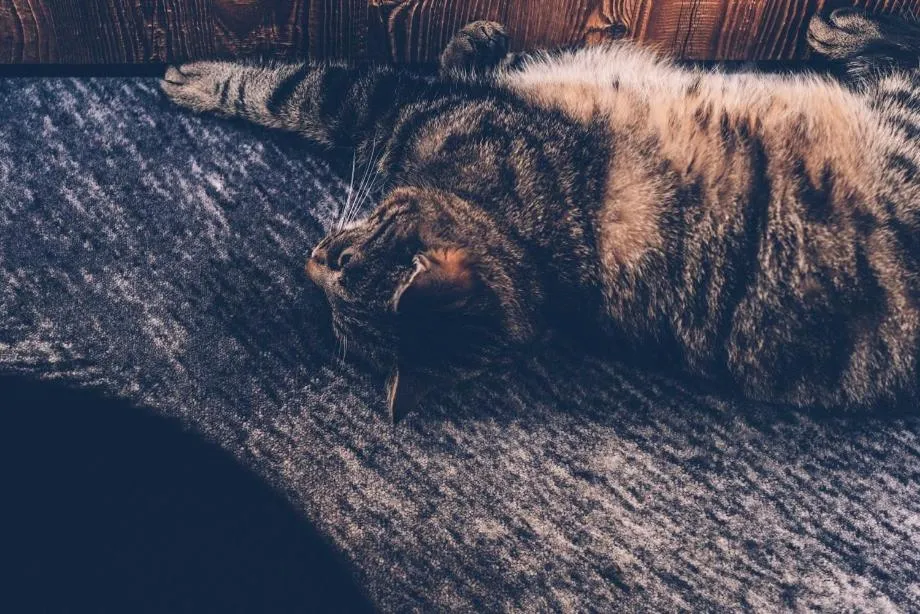 Almwellness-Resort Tuffbad