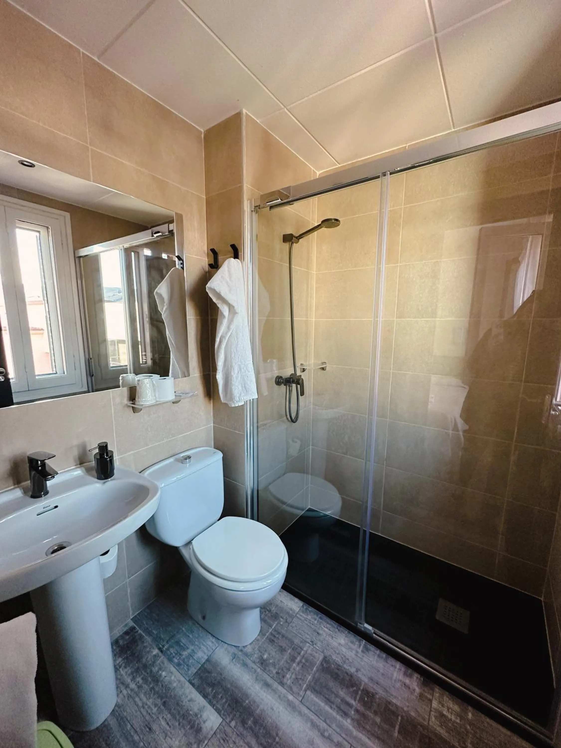 Bathroom in Hotel Alegret