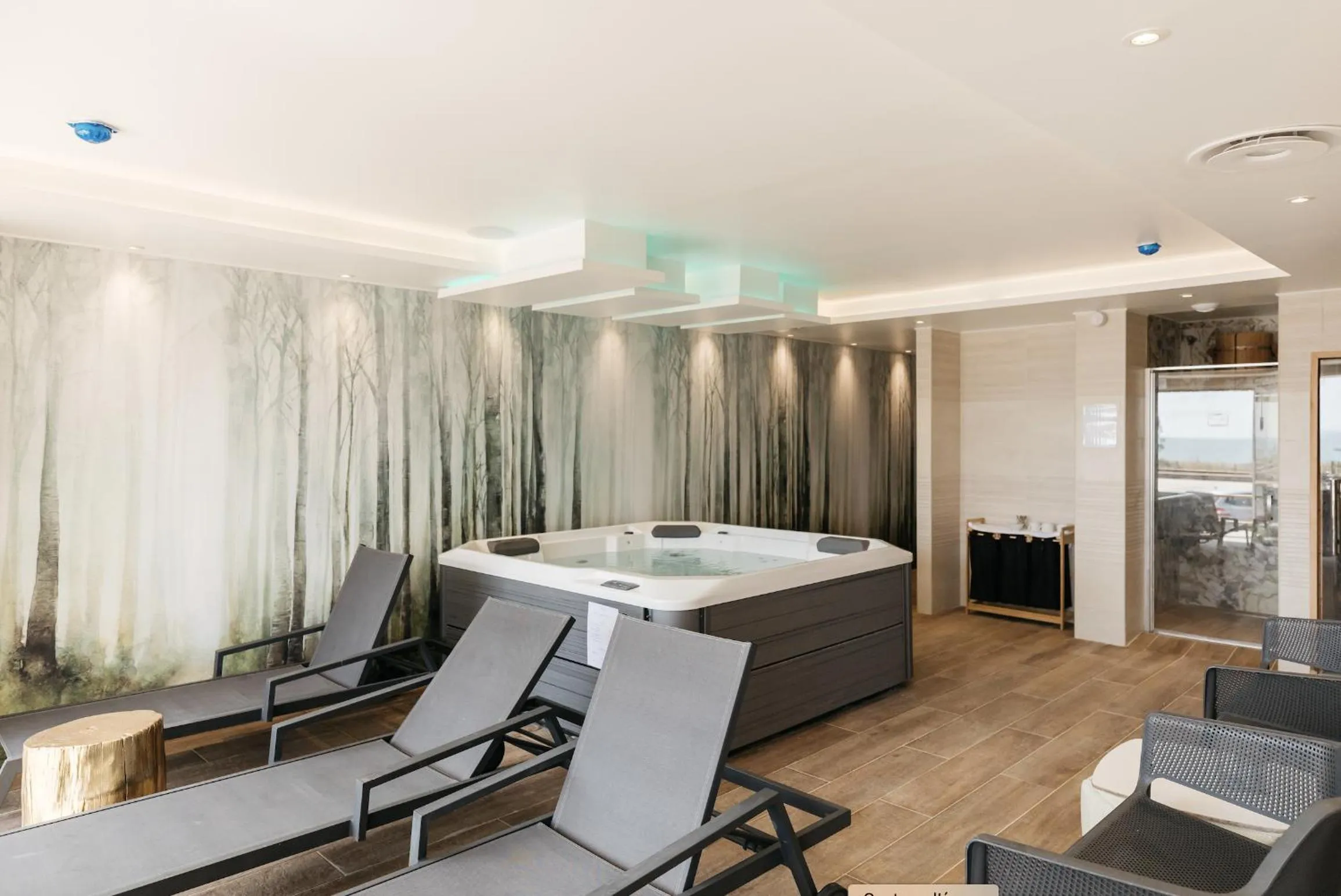 Hot Tub in Hôtel Édenia - Spa Estime&Sens