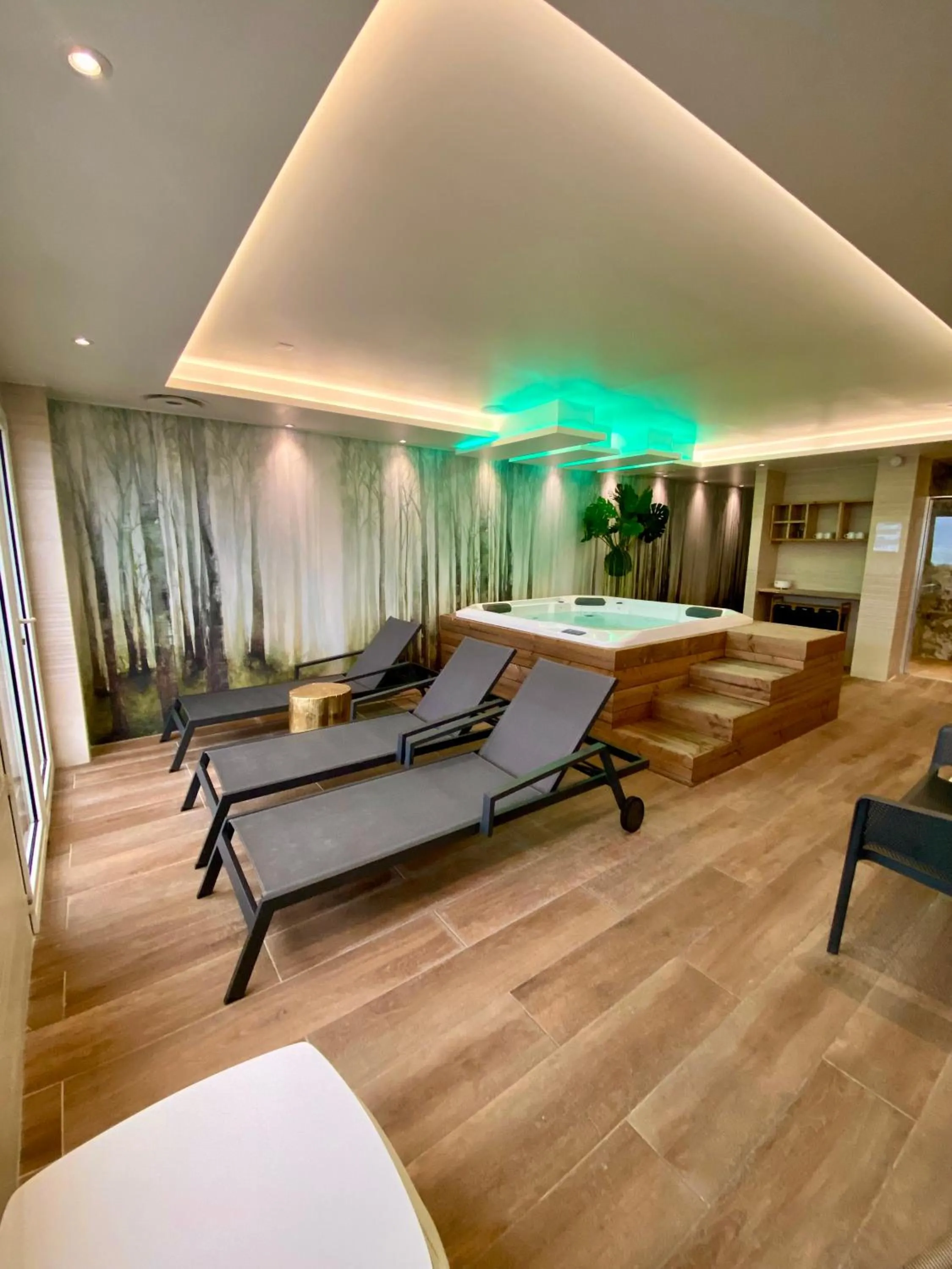 Hot Tub in Hôtel Édenia - Spa Estime&Sens