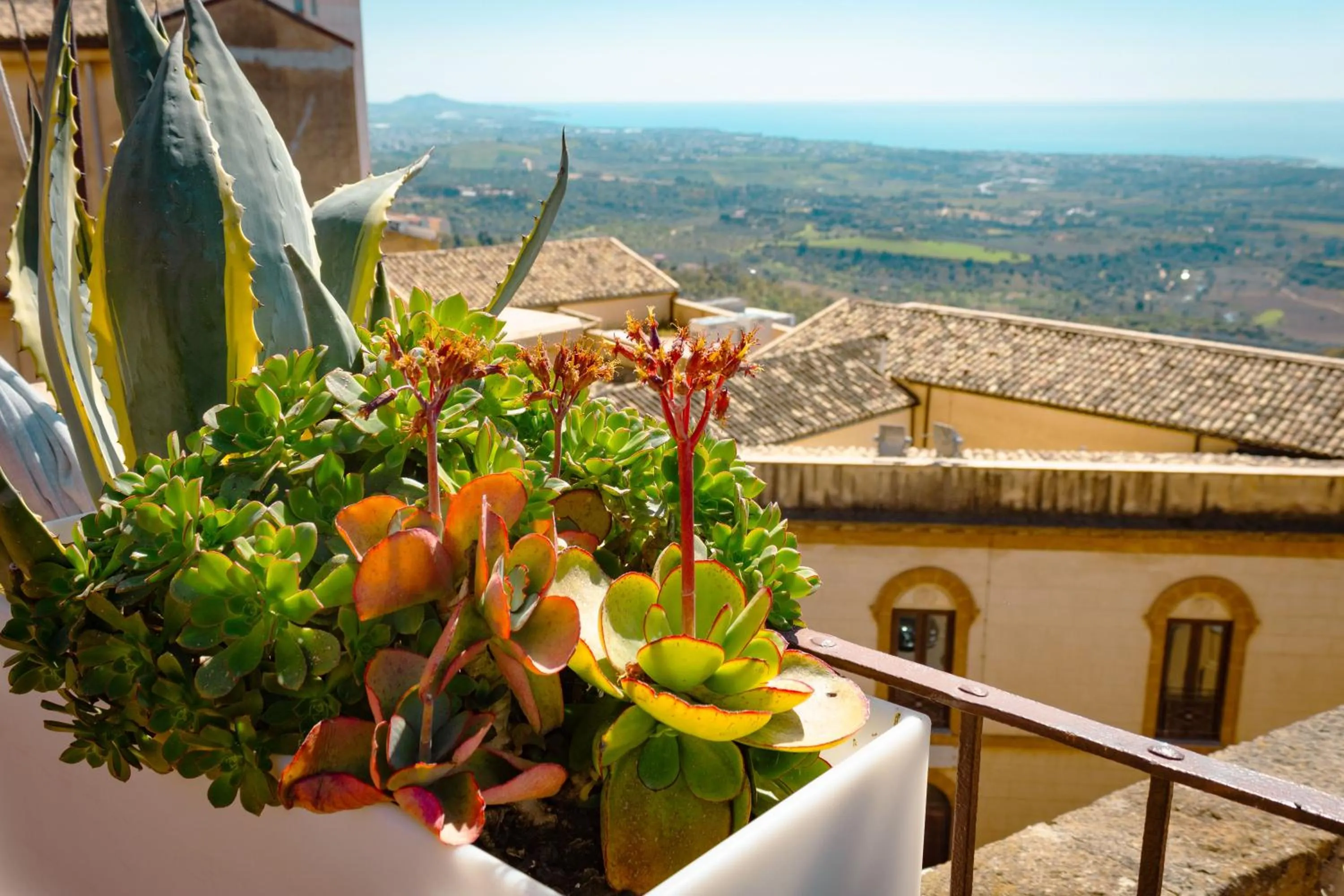 Le Terrazze di Pirandello