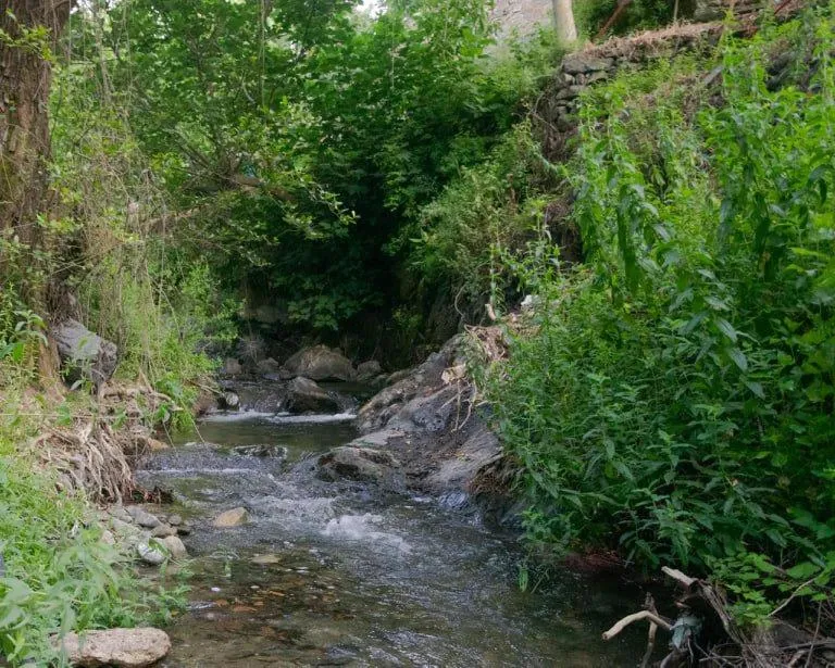 River view in Theoxenia