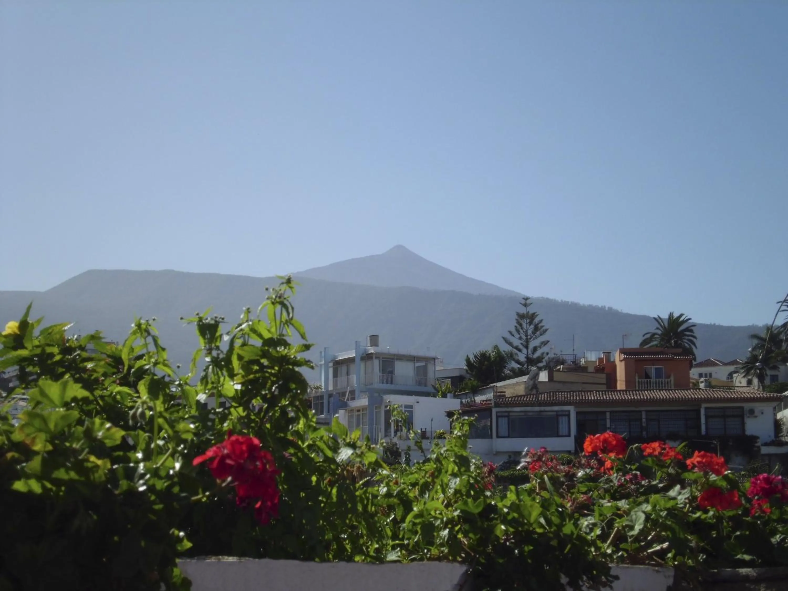 Area and facilities in Apartamentos Chinyero