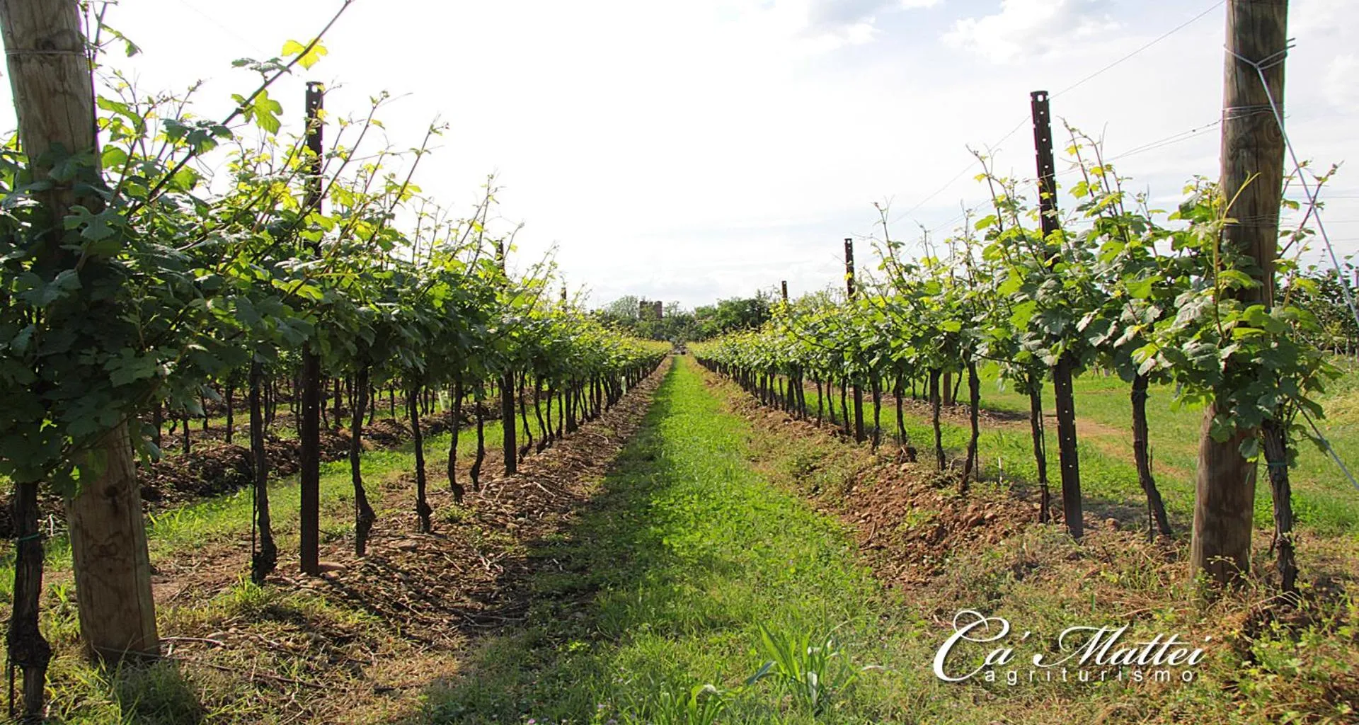 AGRITURISMO CA'MATTEI