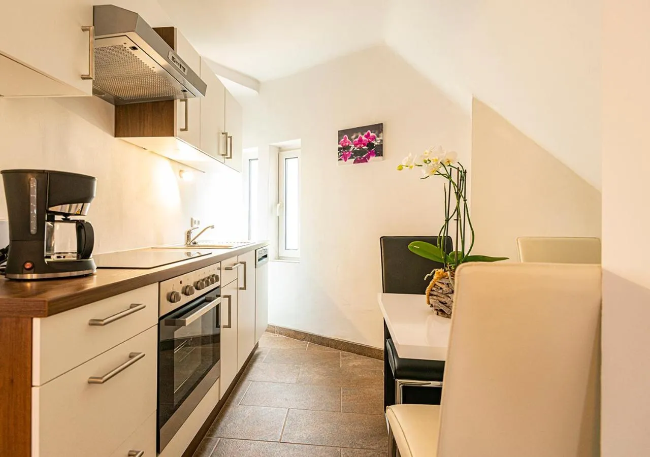 Kitchen or kitchenette in Hotel Bristol
