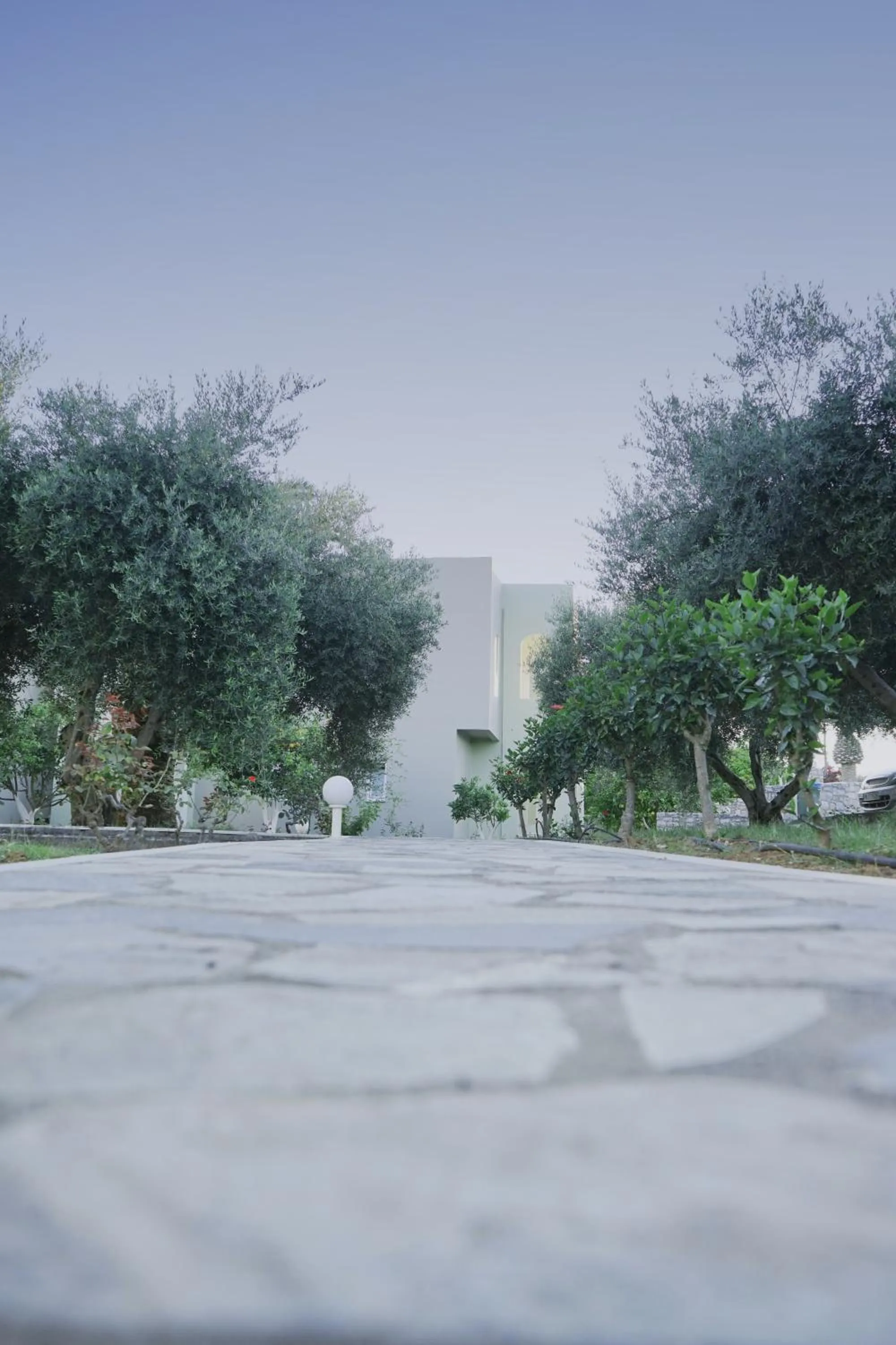 Garden in Vardis Olive Garden