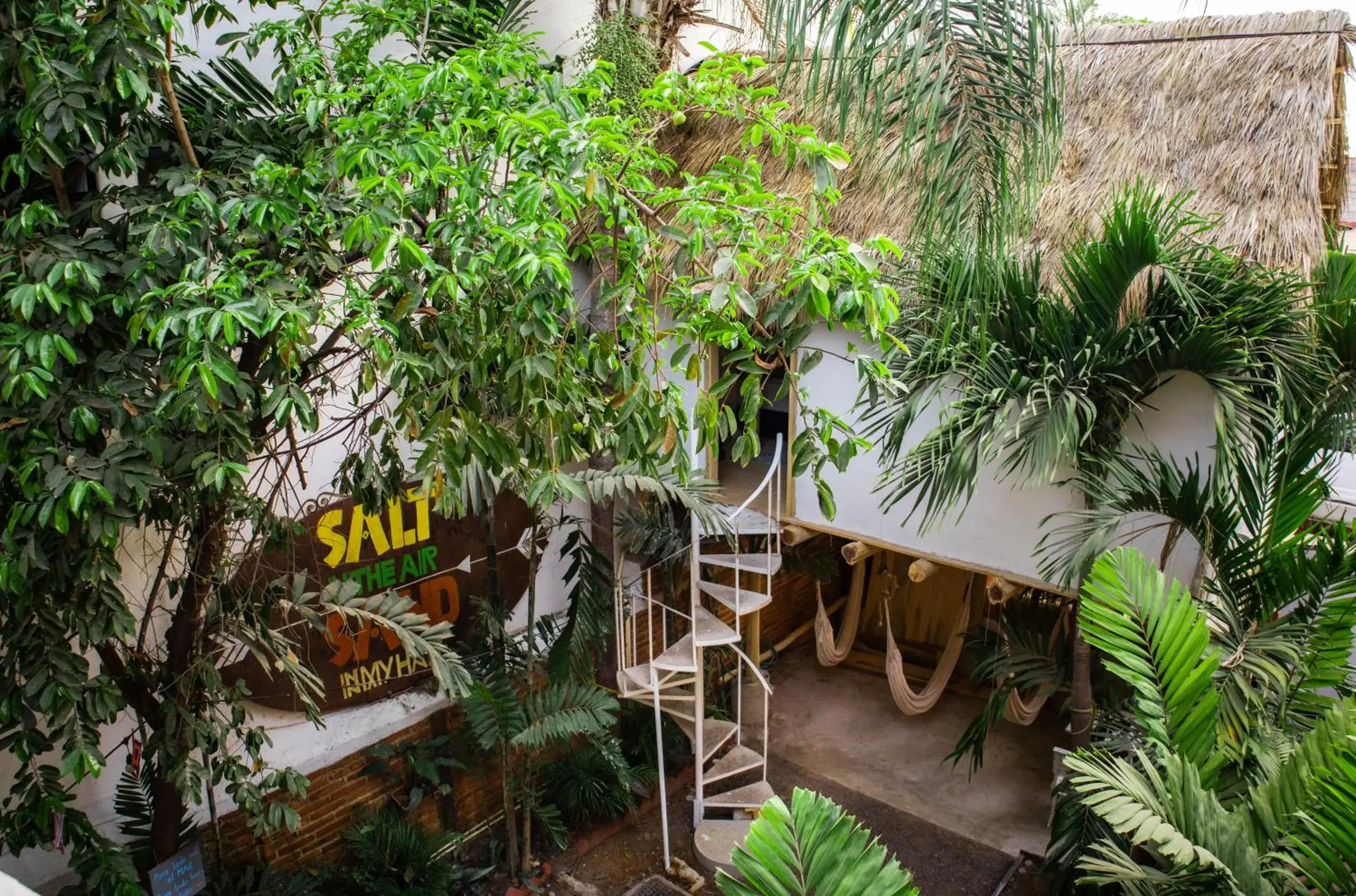 La Redonda Surf Hostel Sayulita La Redonda Surf Hostel Sayulita