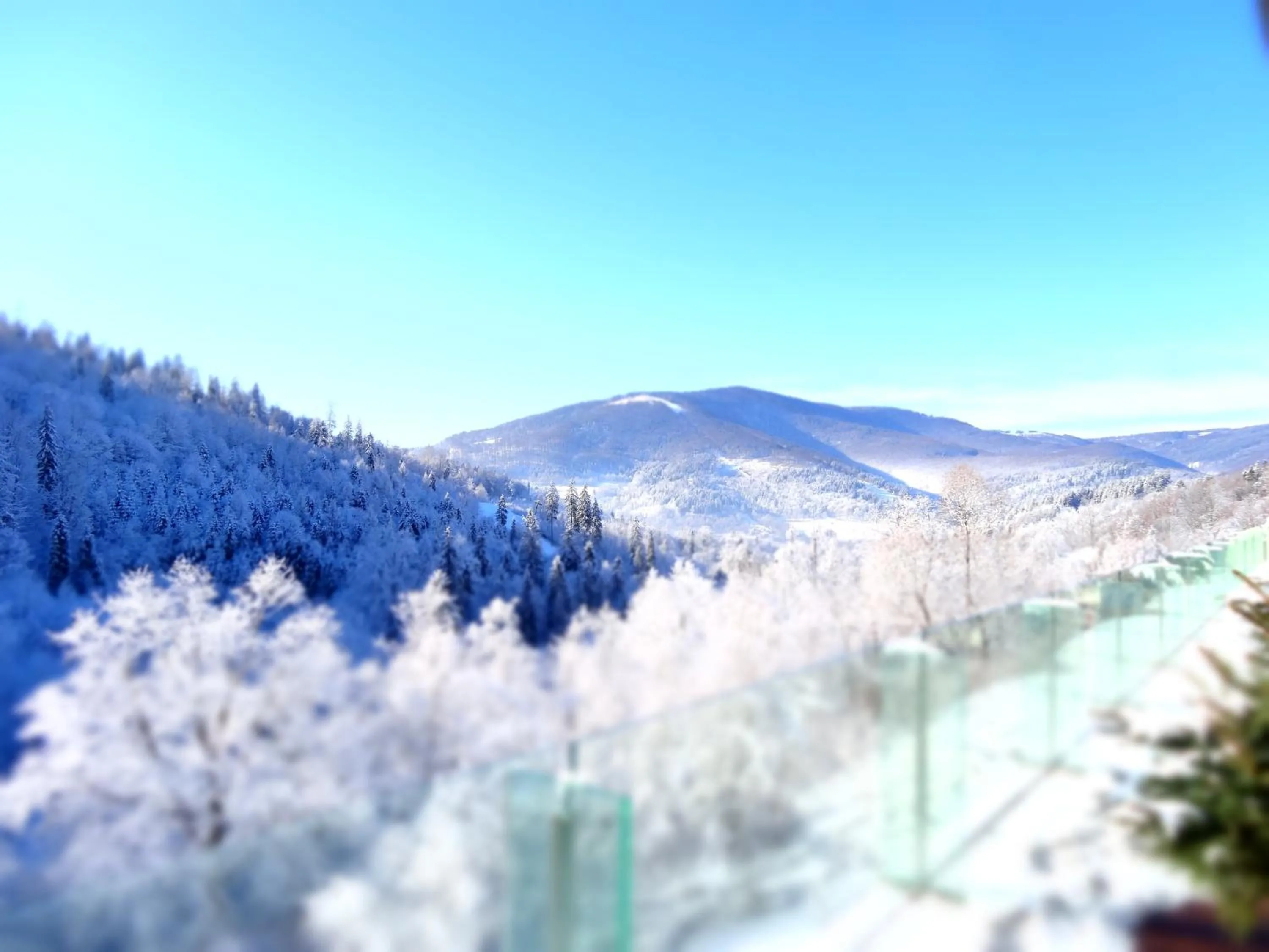 Winter in Mazowsze Medi Spa