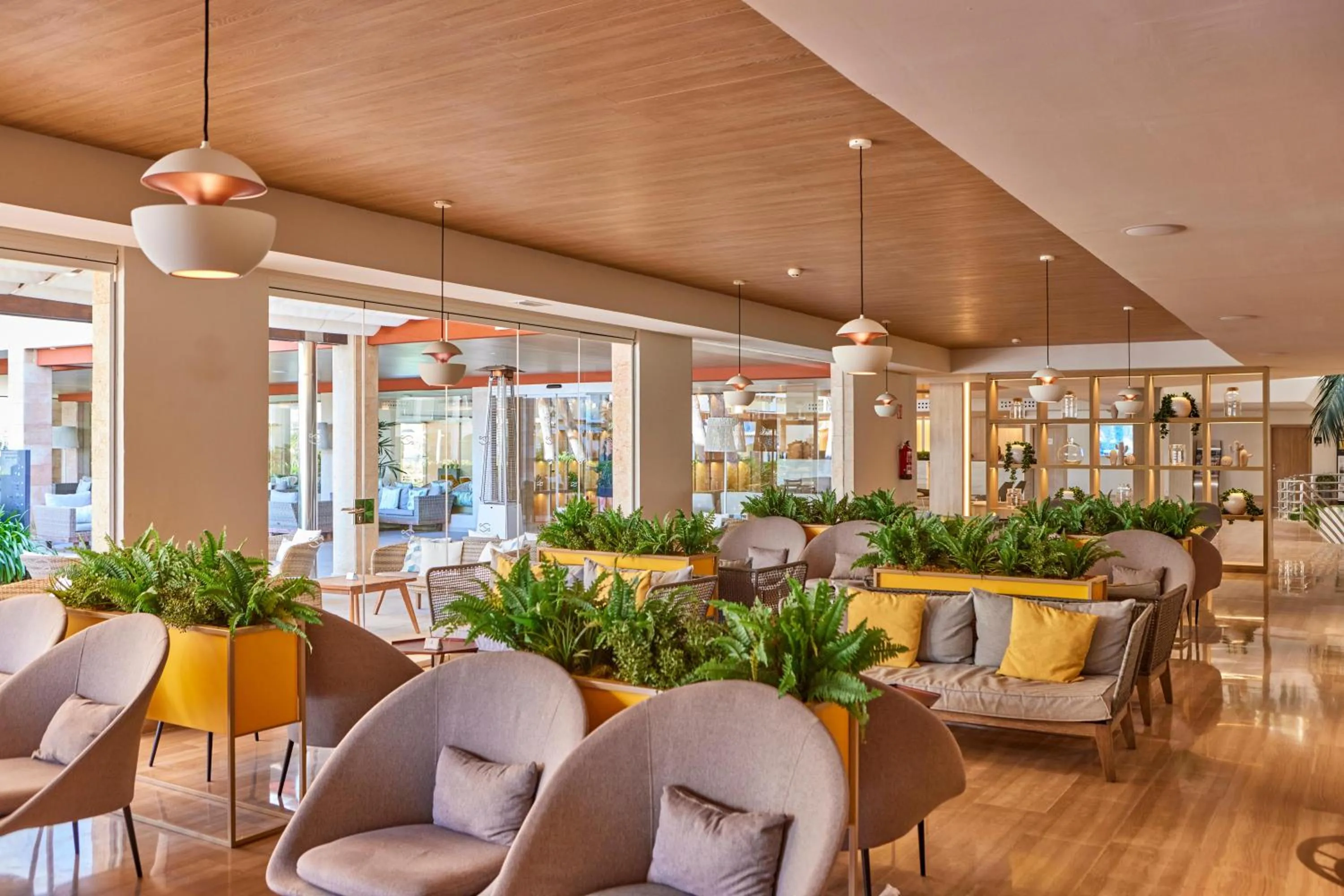 Lounge or bar in Zafiro Bahia